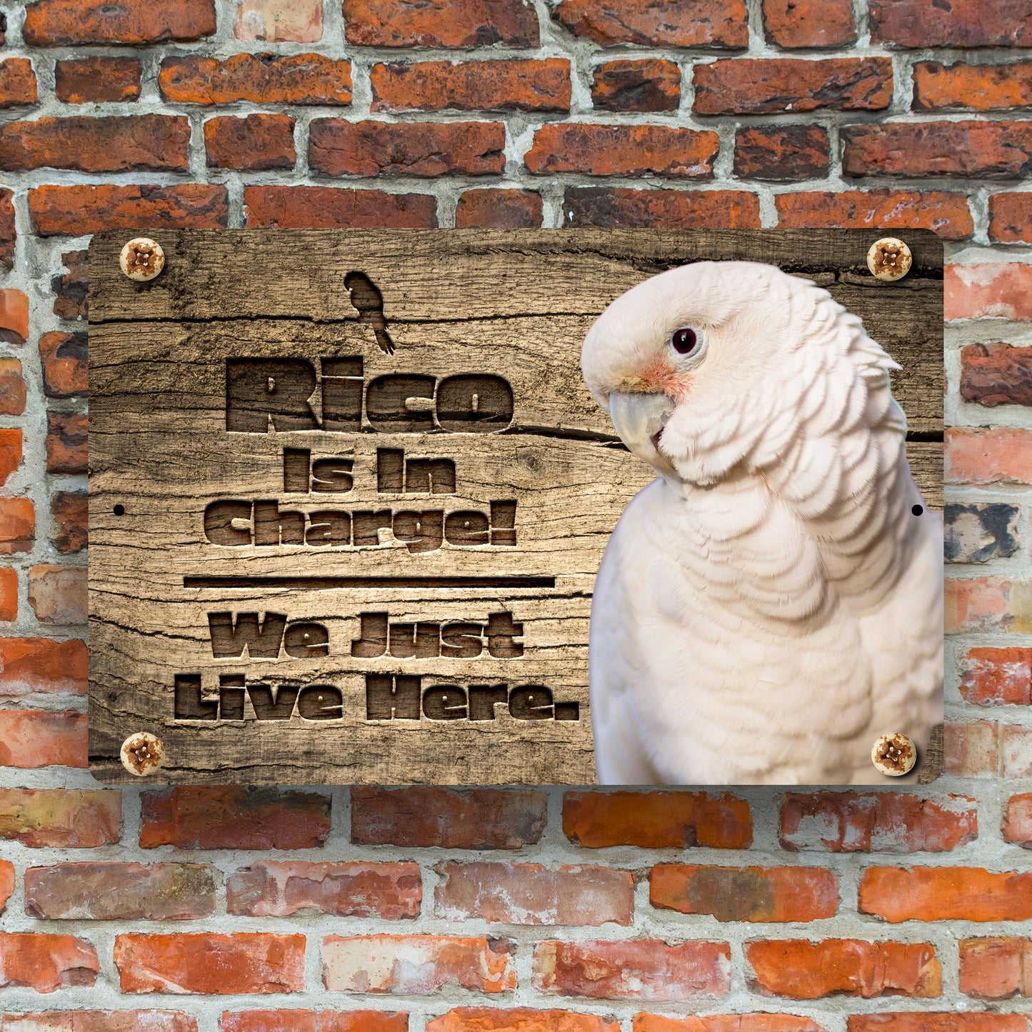 Personalized Goffins Cockatoo Sign