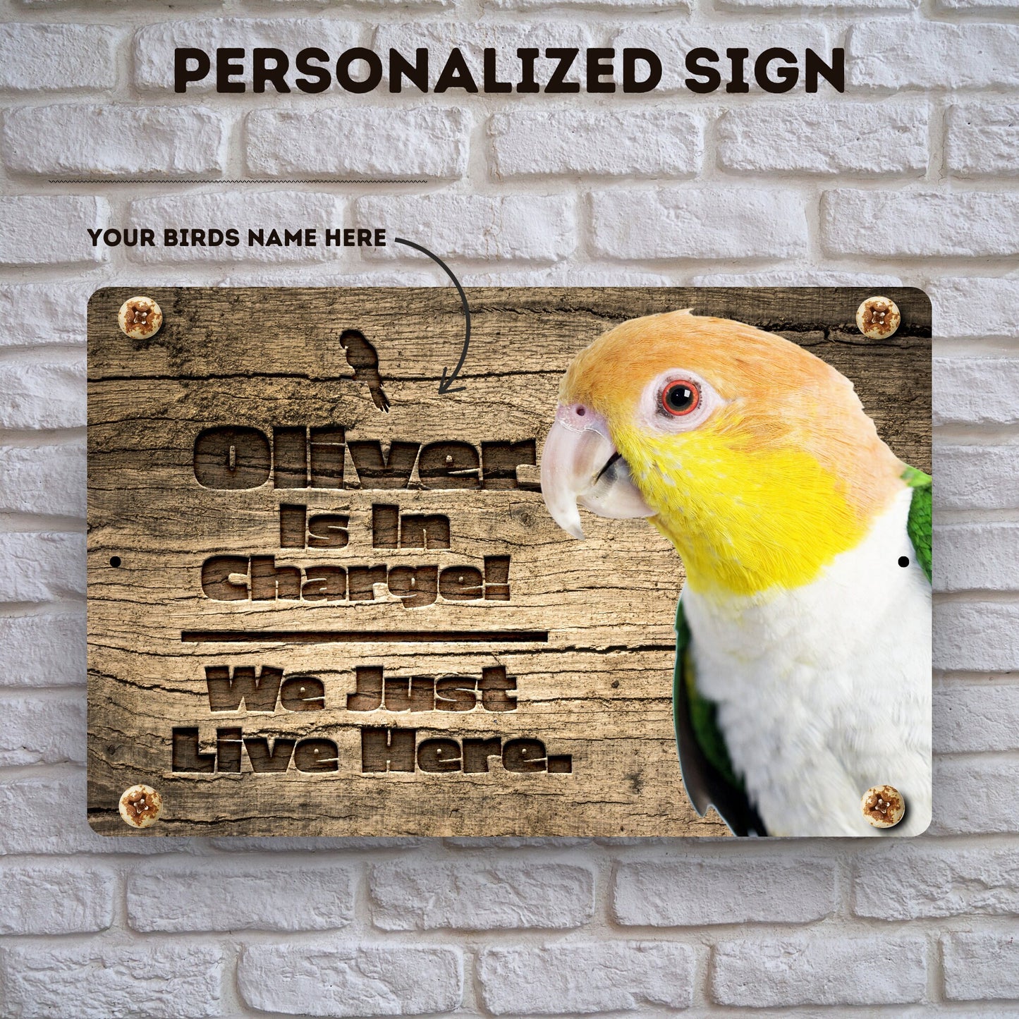 Personalized White Belly Caique Sign