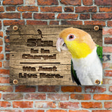 Personalized White Belly Caique Sign
