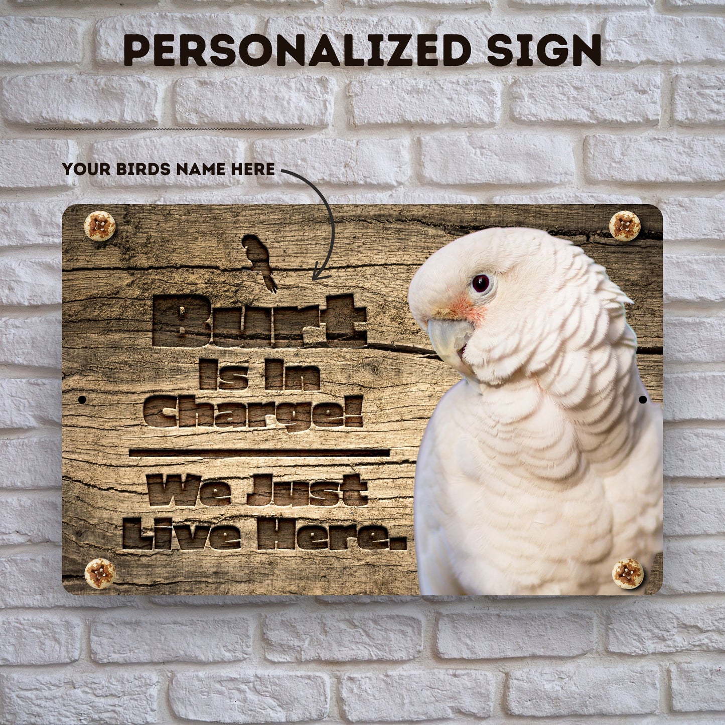 Personalized Goffins Cockatoo Sign