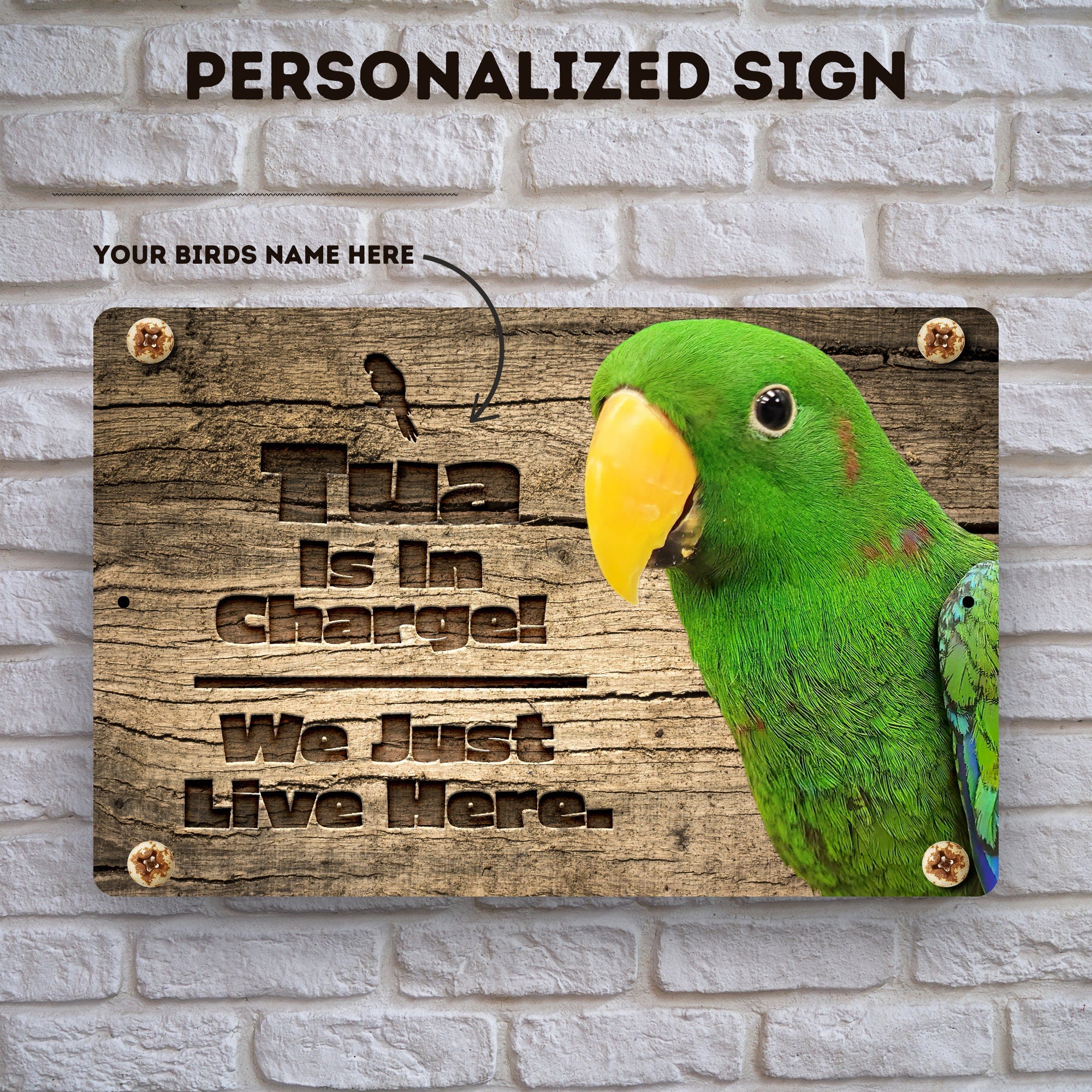 PErsonalzied Green Eclectus Sign