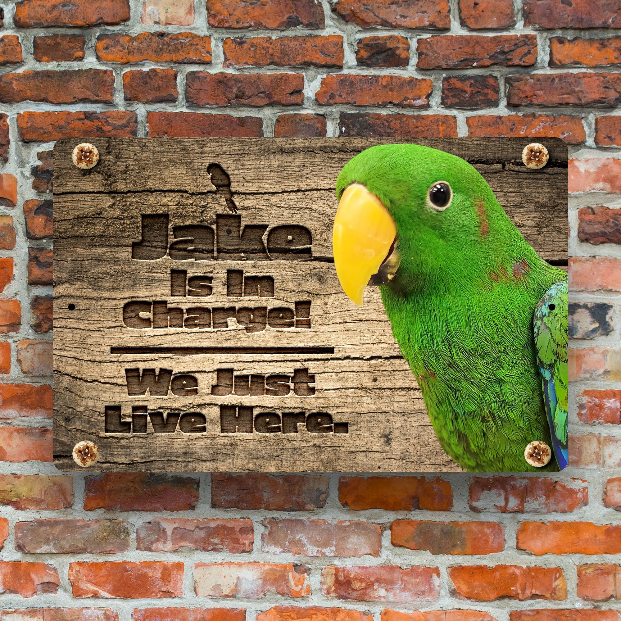 PErsonalzied Green Eclectus Sign