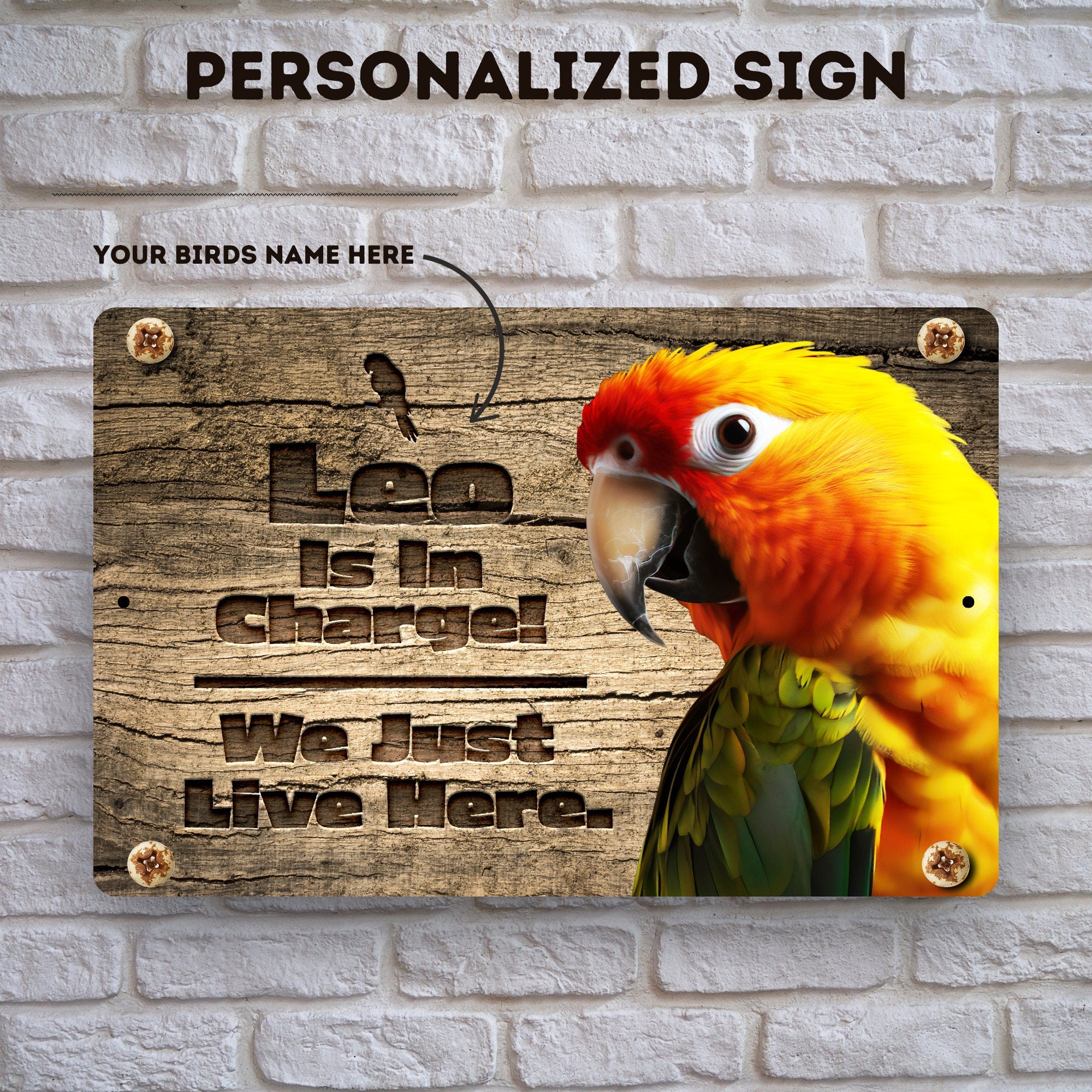 Personalized Sun Conure Sign