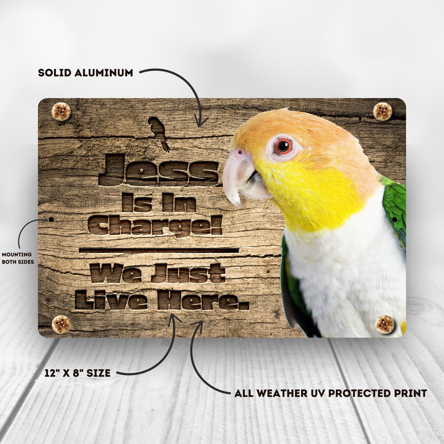 Personalized White Belly Caique Sign