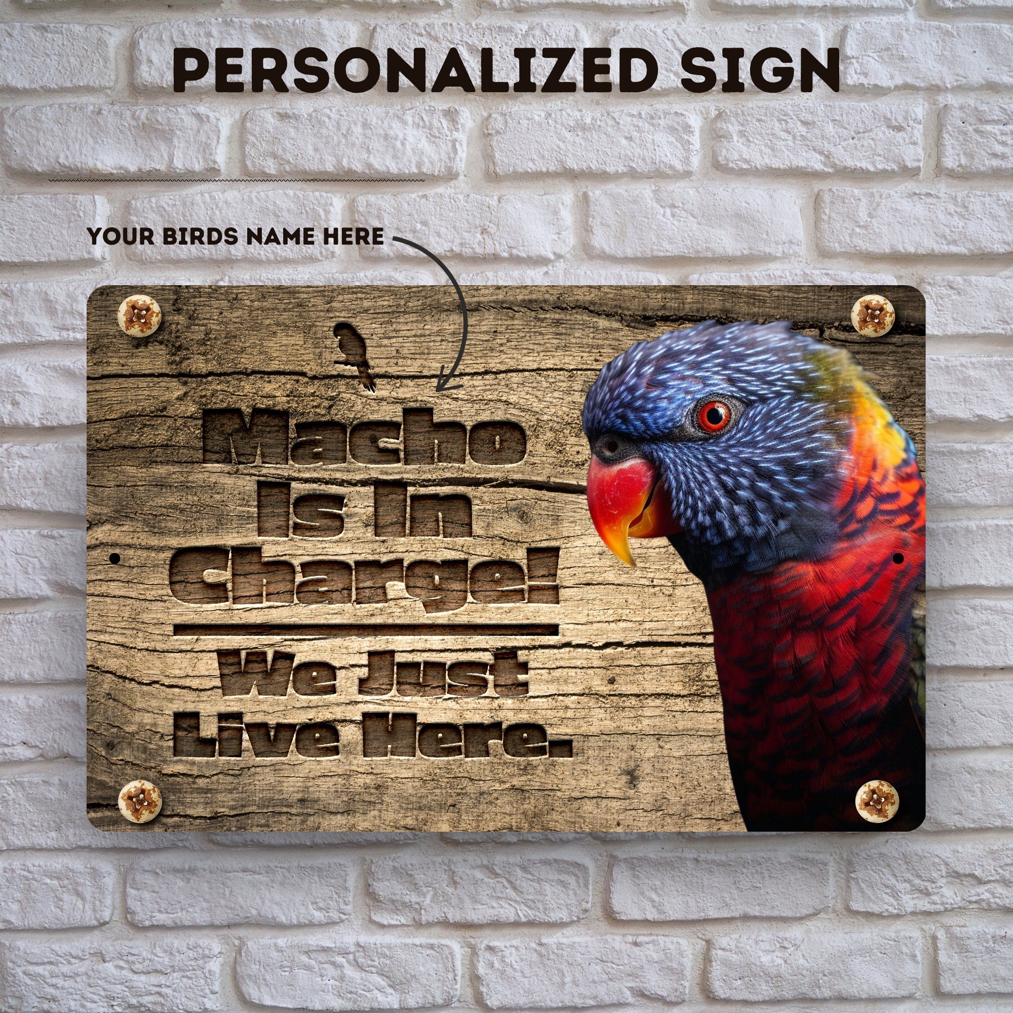 Personalized Rainbow Lorikeet Sign
