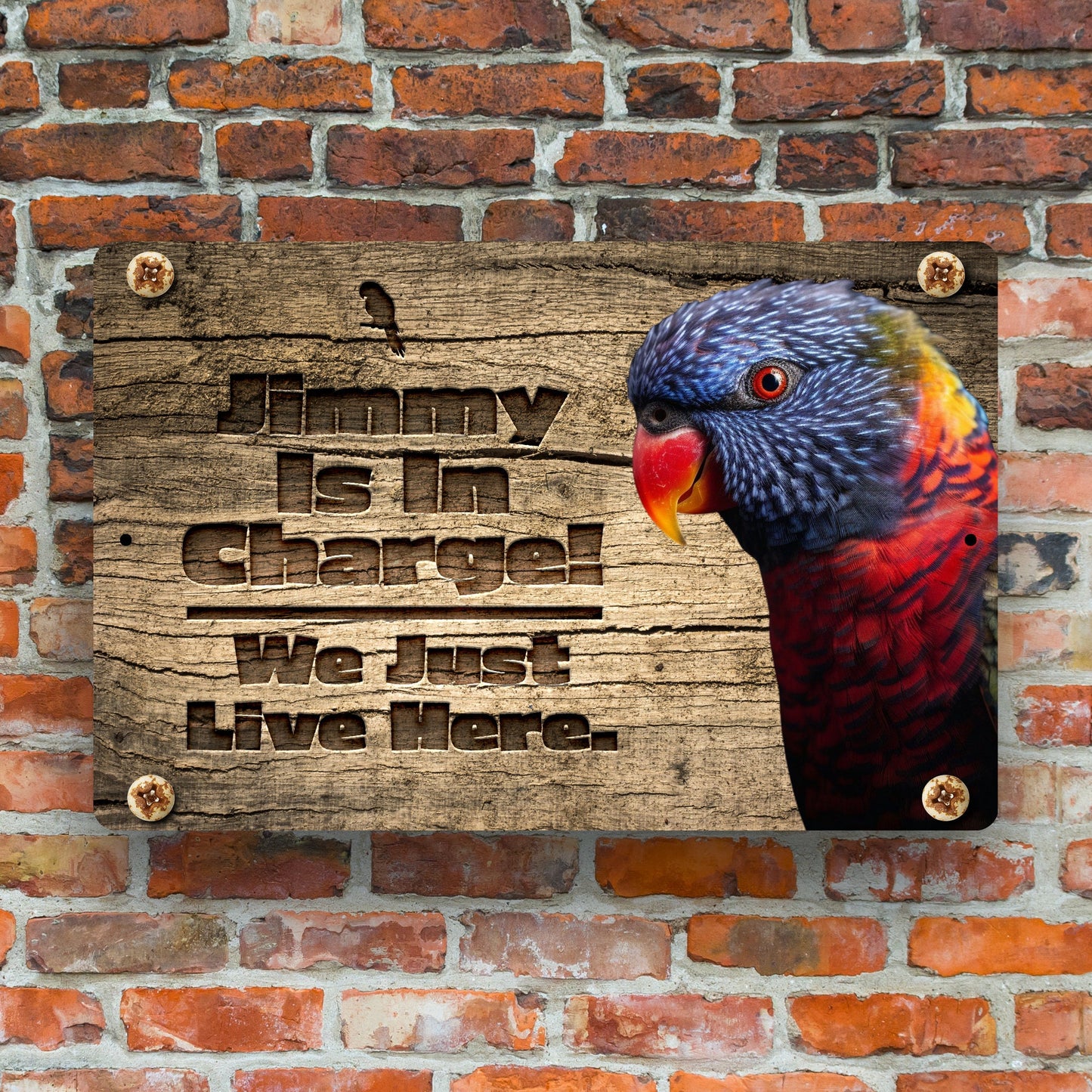 Personalized Rainbow Lorikeet Sign