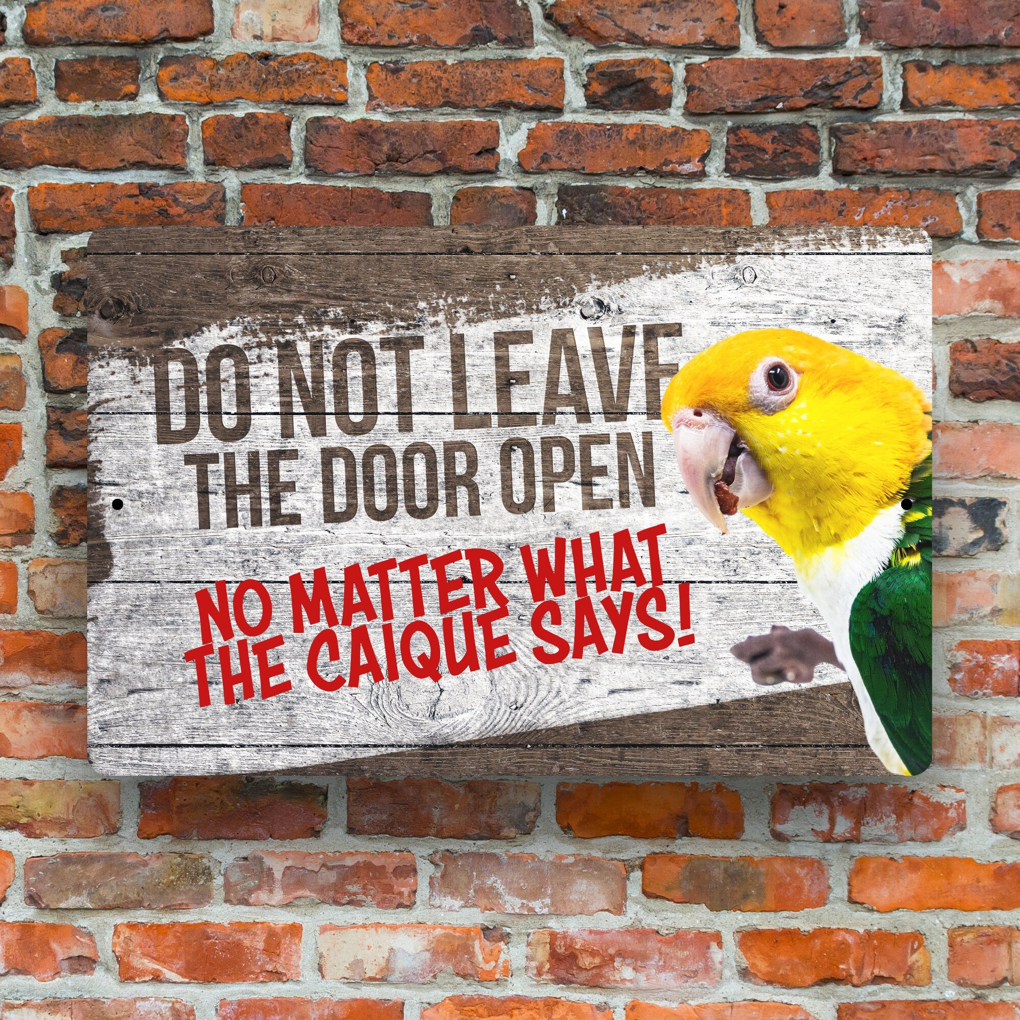 White Belly Caique Sign