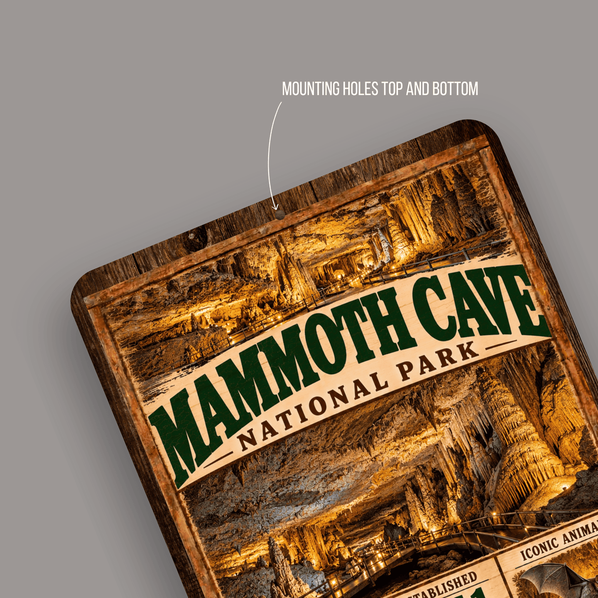 Mammoth Cave National Park aluminum sign showing rounded corners and mounting holes