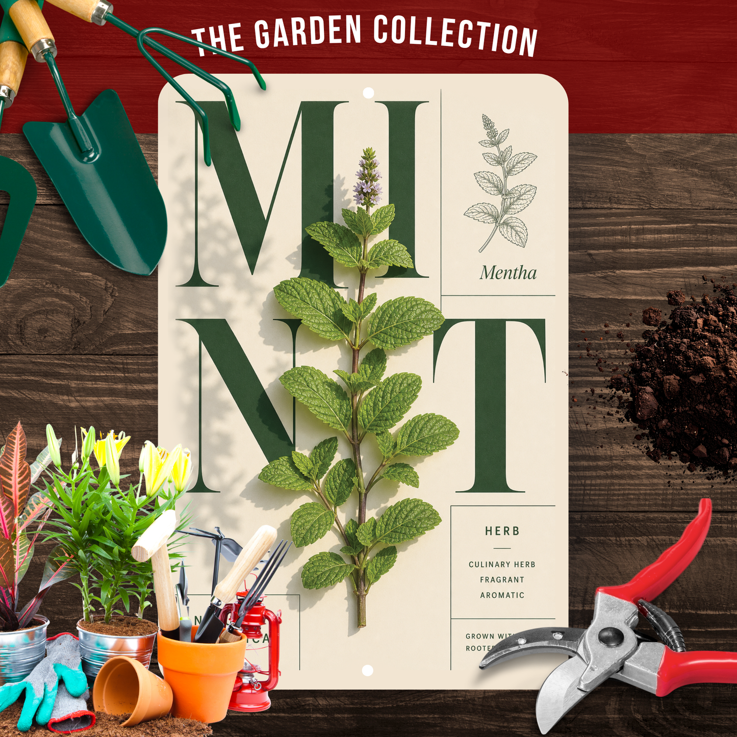 Mint Botanical Aluminum Sign – Herb Kitchen & Garden Décor