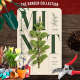 Mint Botanical Aluminum Sign – Herb Kitchen & Garden Décor