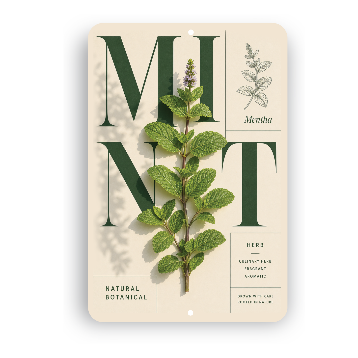 Mint Botanical Aluminum Sign – Herb Kitchen & Garden Décor