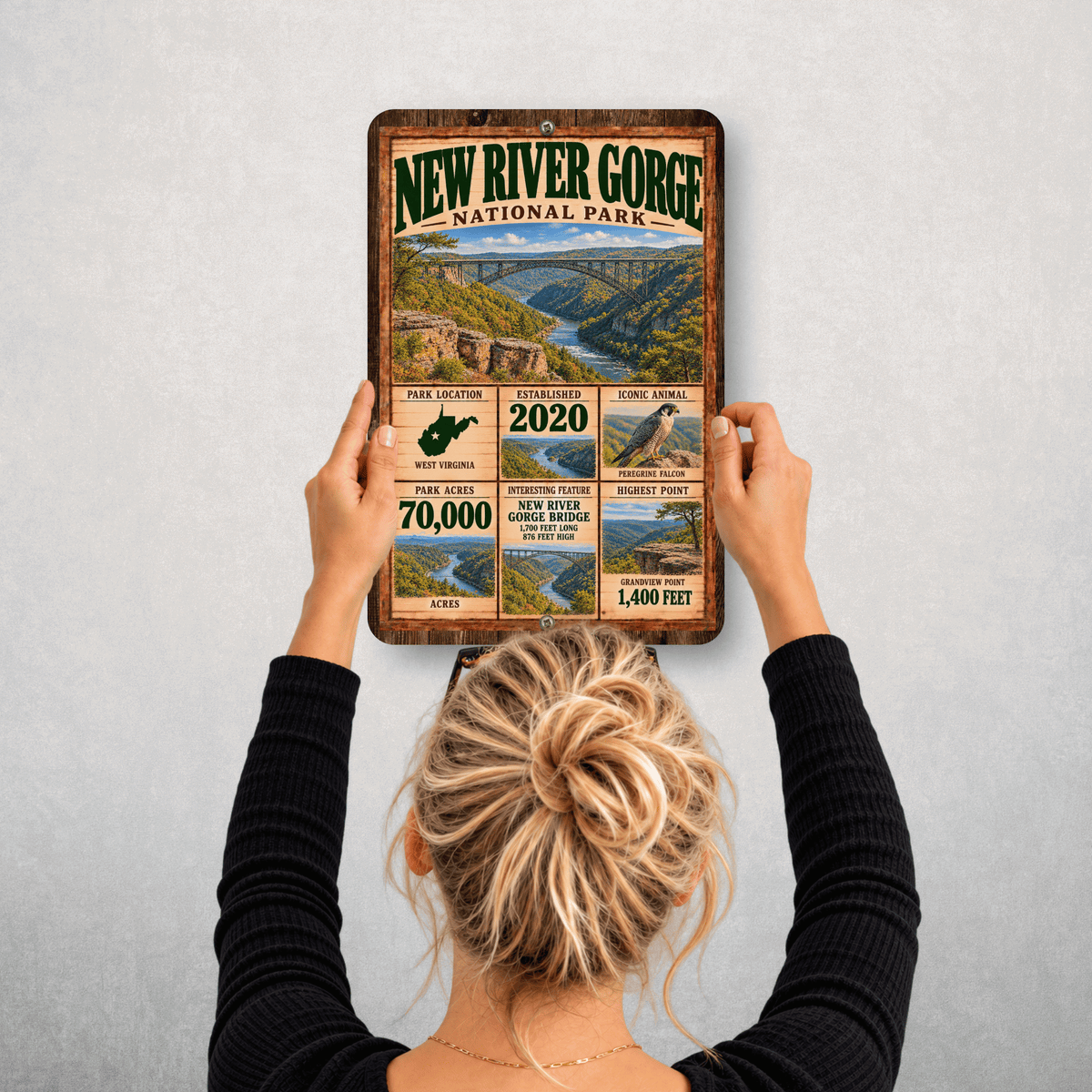 New River Gorge National Park facts sign hanging on a wall with vintage bridge and gorge artwork