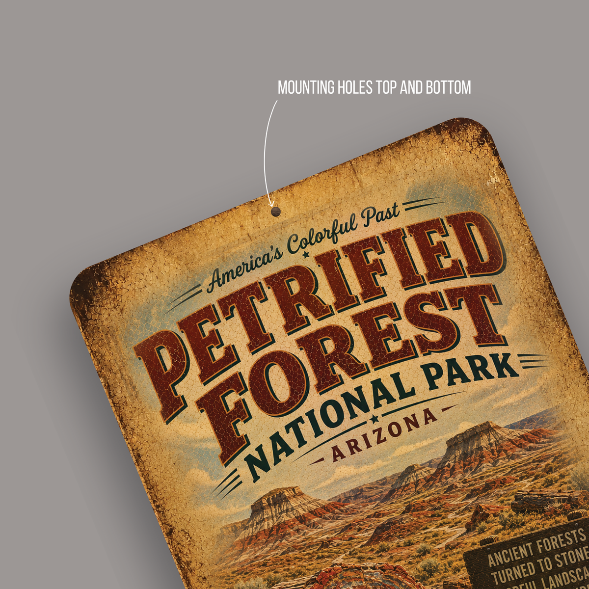 Petrified Forest Park Sign