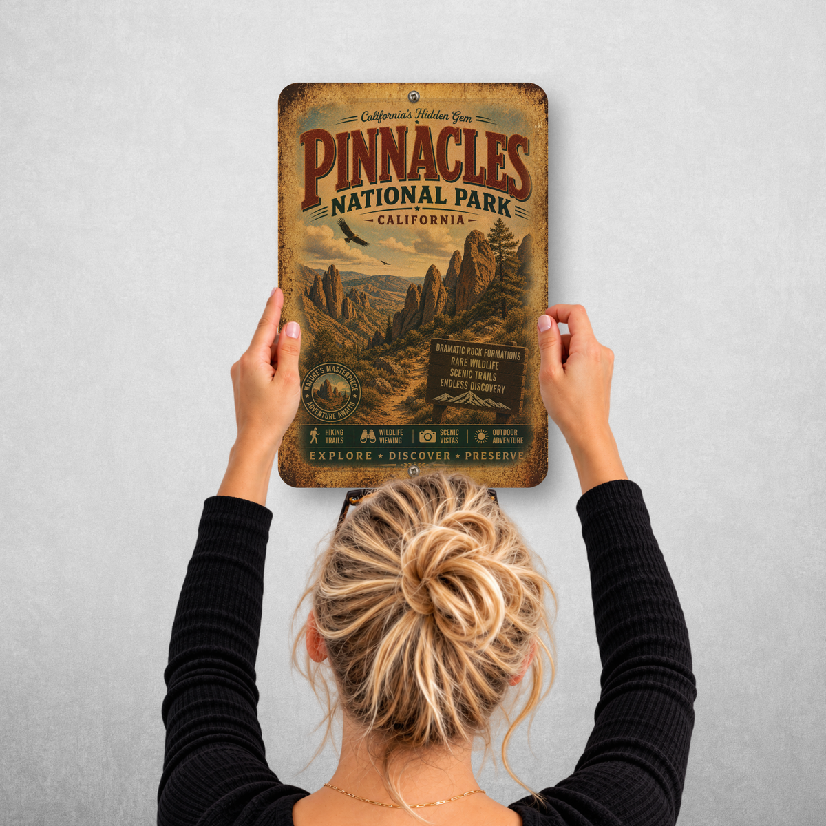 Pinnacles National Park Sign