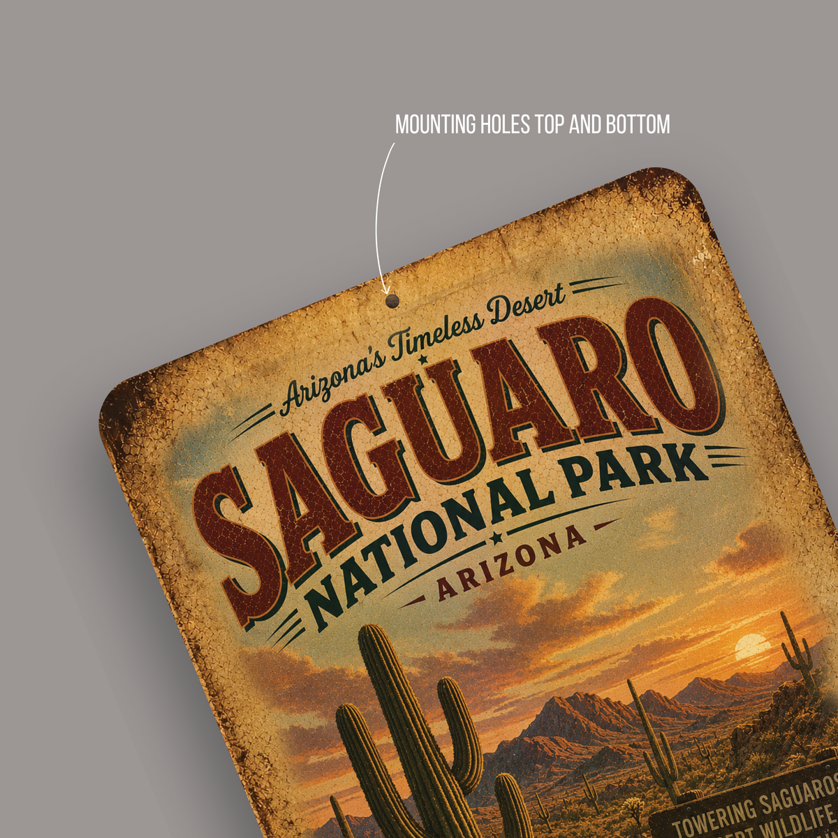 Saguaro National Park Sign