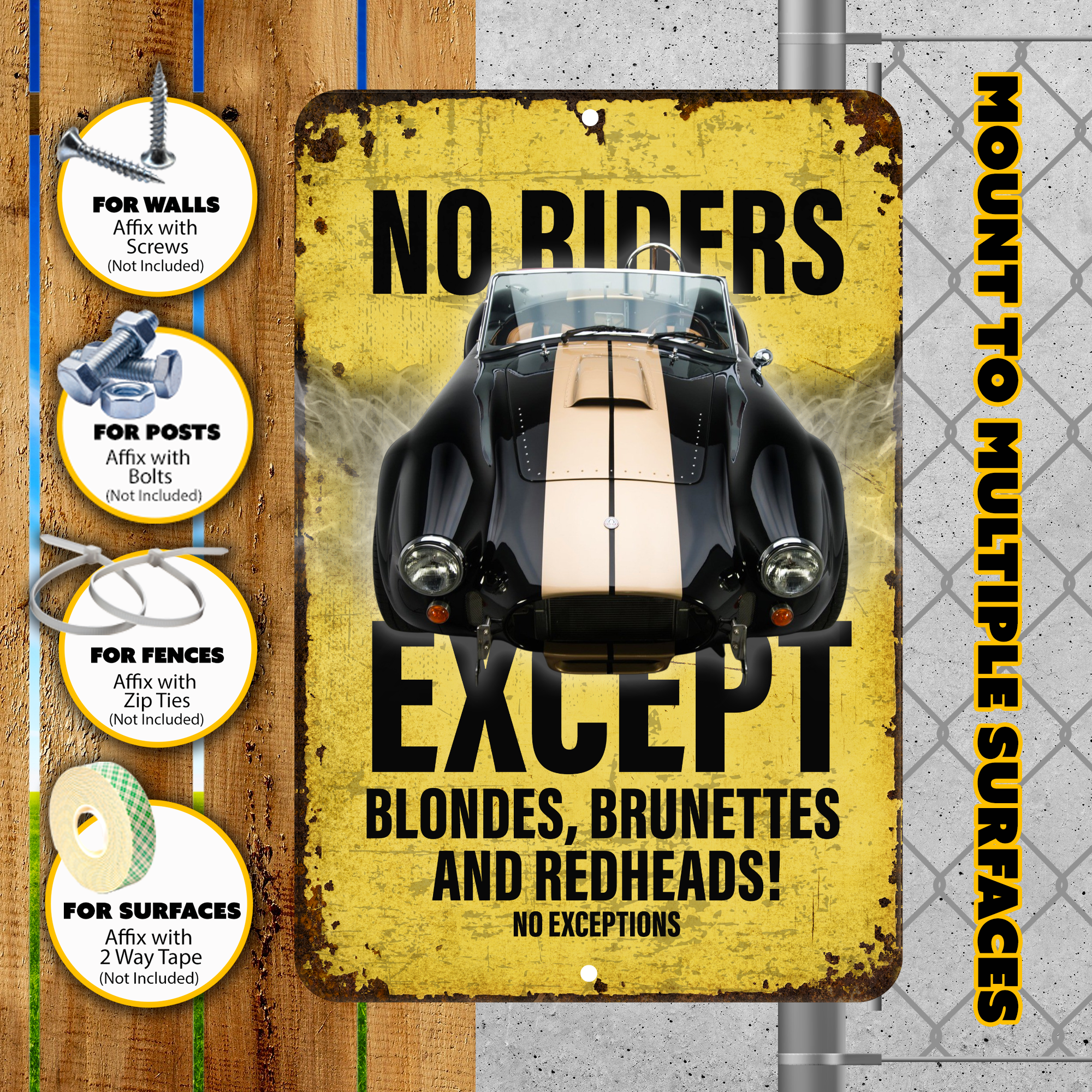 No Riders Except Blondes Brunettes Redheads Car Sign