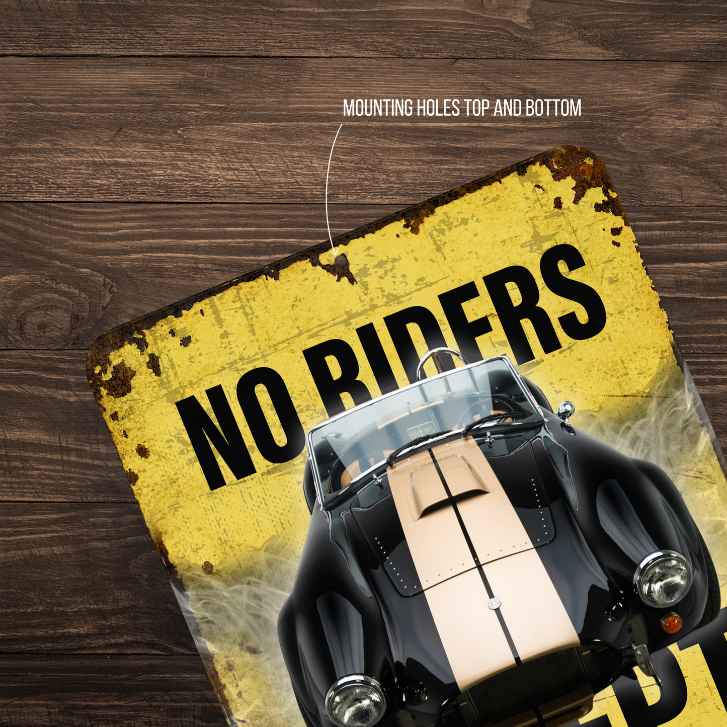 No Riders Except Blondes Brunettes Redheads Car Sign
