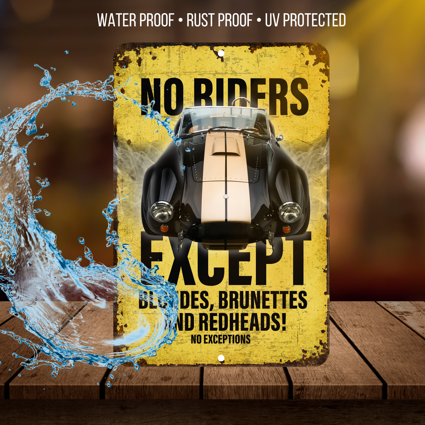 No Riders Except Blondes Brunettes Redheads Car Sign