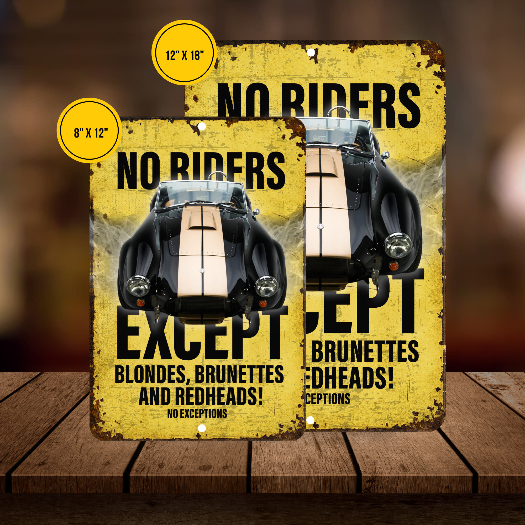 No Riders Except Blondes Brunettes Redheads Car Sign