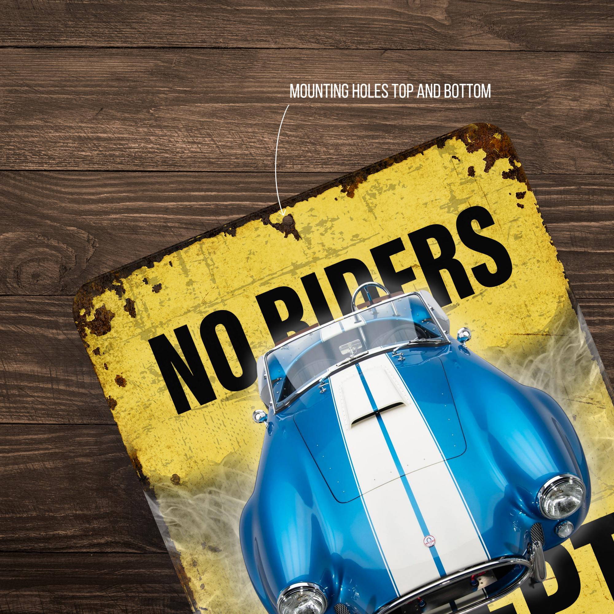 No Riders Except Blondes Brunettes Redheads Car Sign