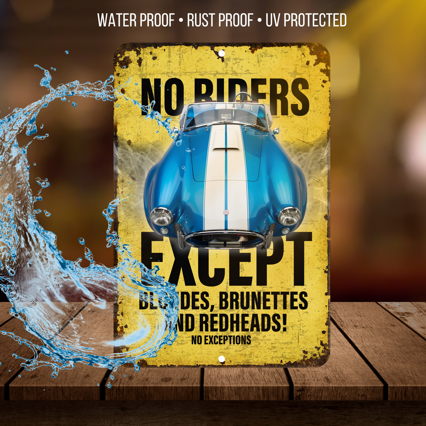 No Riders Except Blondes Brunettes Redheads Car Sign