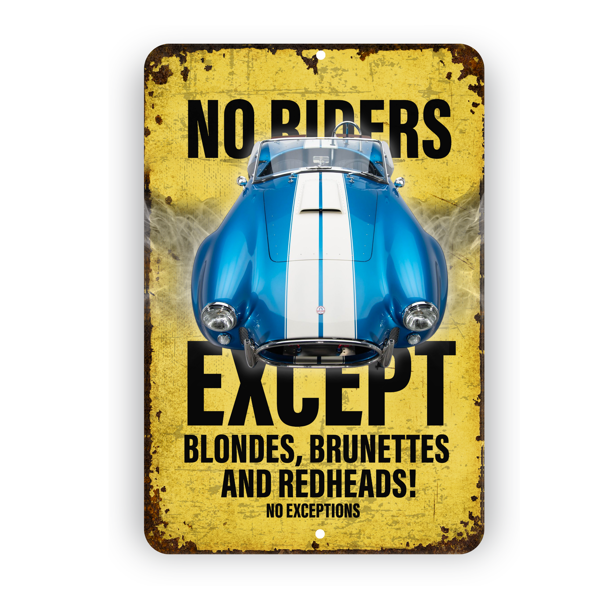 No Riders Except Blondes Brunettes Redheads Car Sign