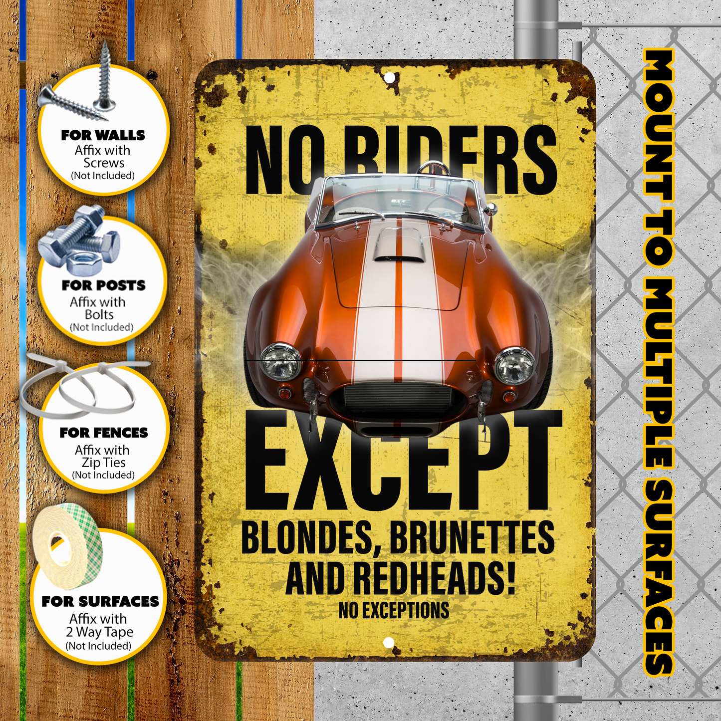 No Riders Except Blondes Brunettes Redheads Car Sign