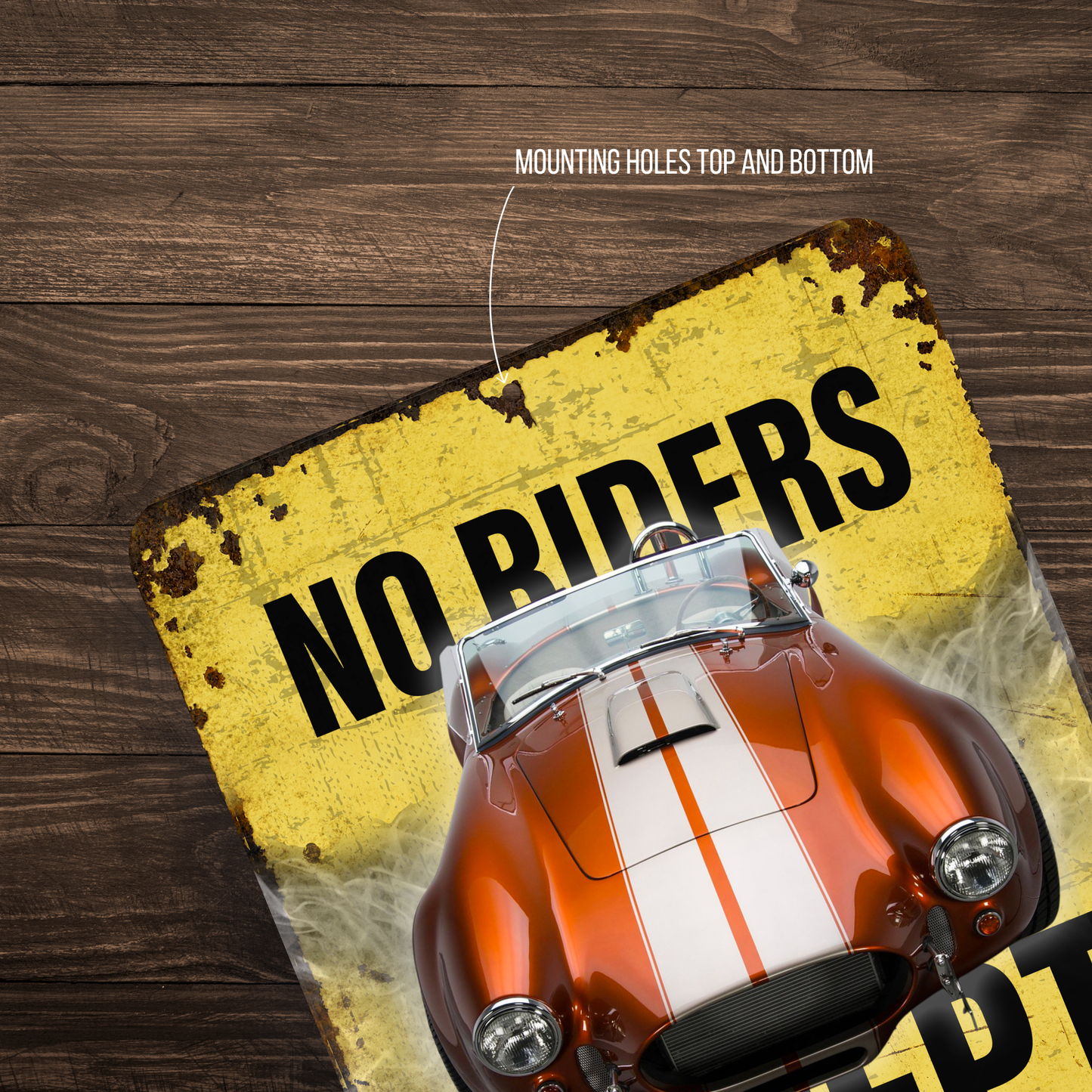 No Riders Except Blondes Brunettes Redheads Car Sign