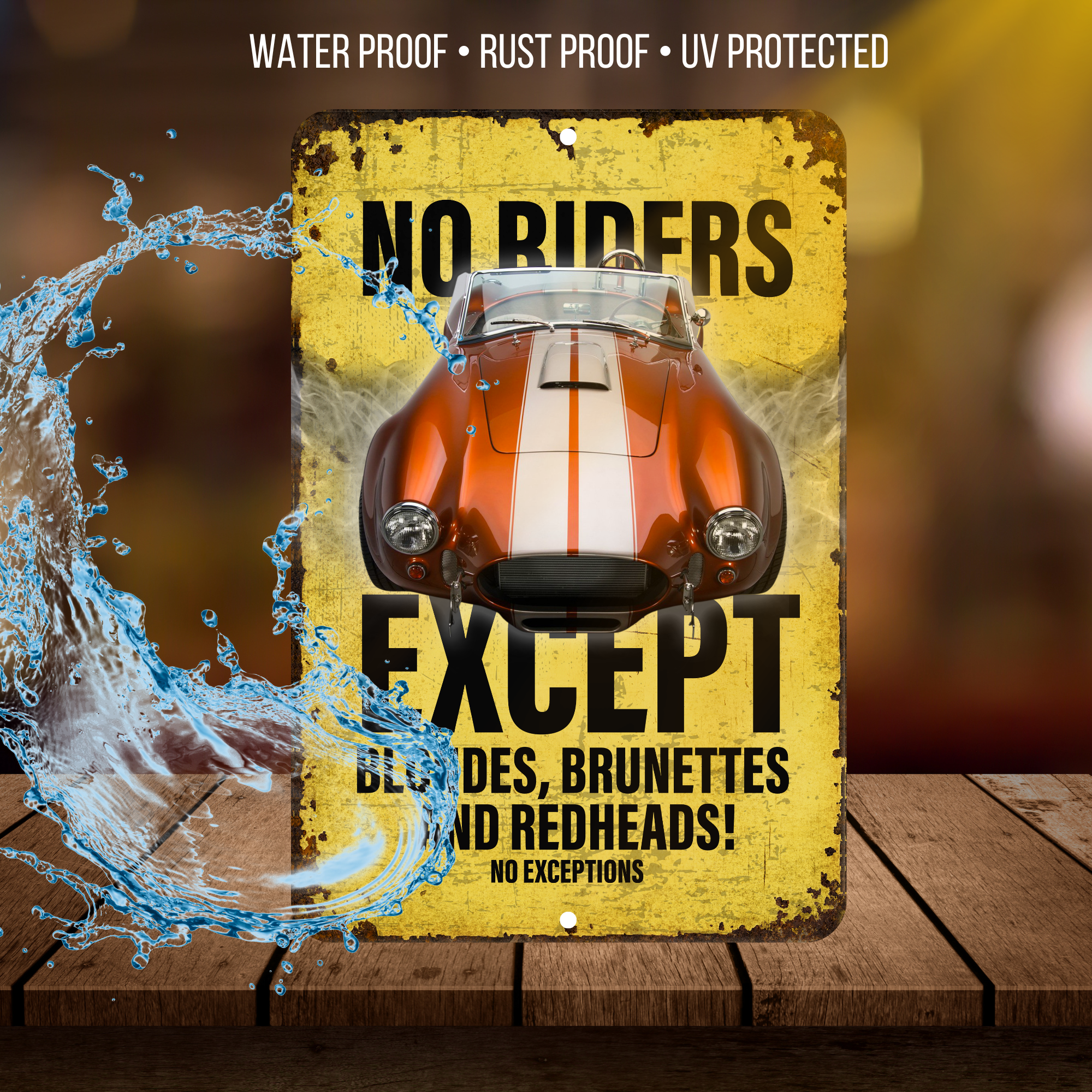 No Riders Except Blondes Brunettes Redheads Car Sign