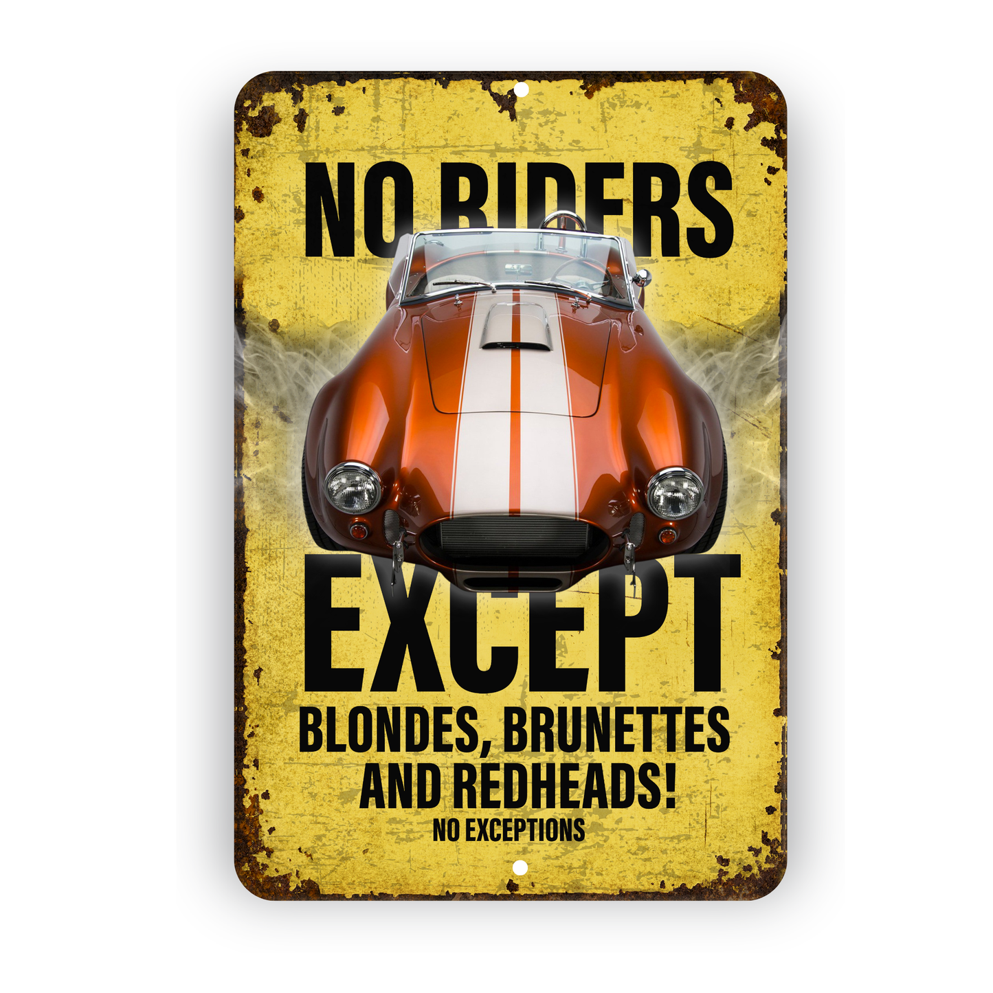No Riders Except Blondes Brunettes Redheads Car Sign