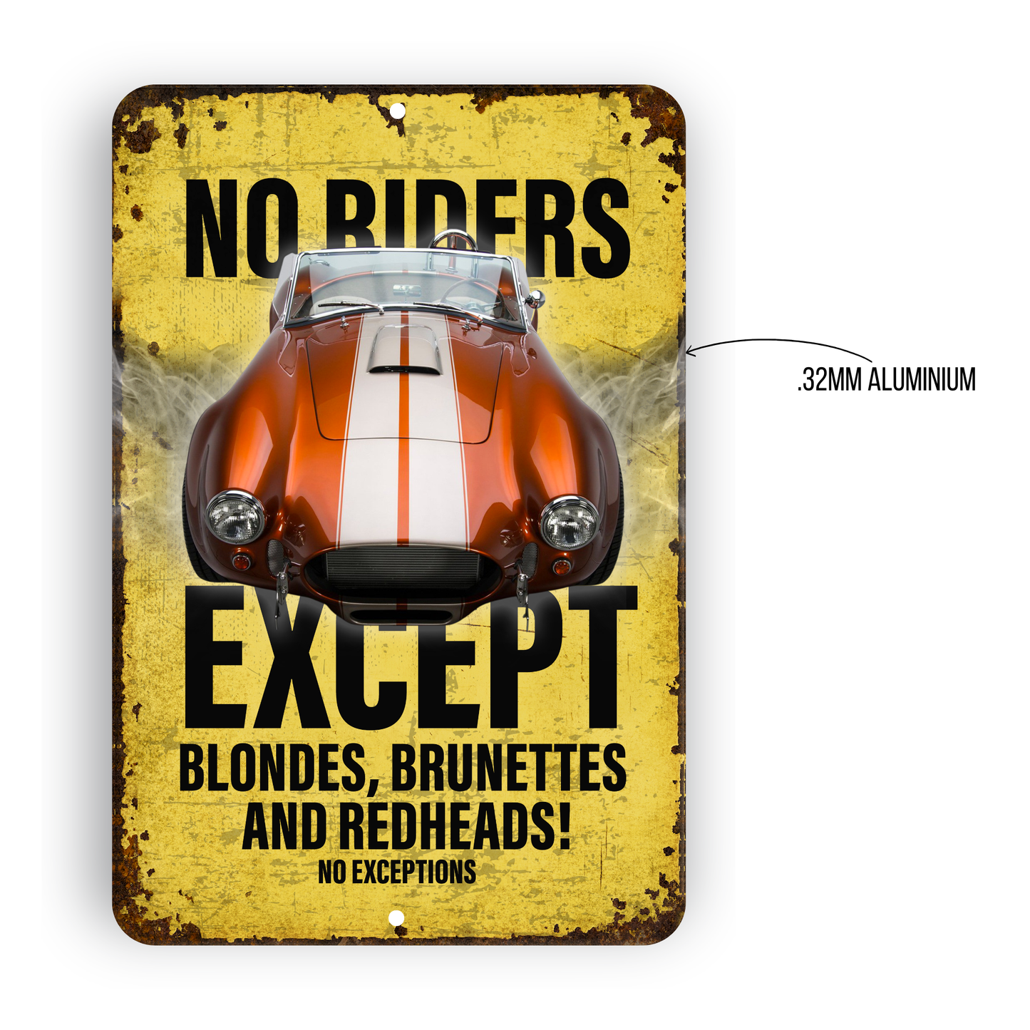 No Riders Except Blondes Brunettes Redheads Car Sign