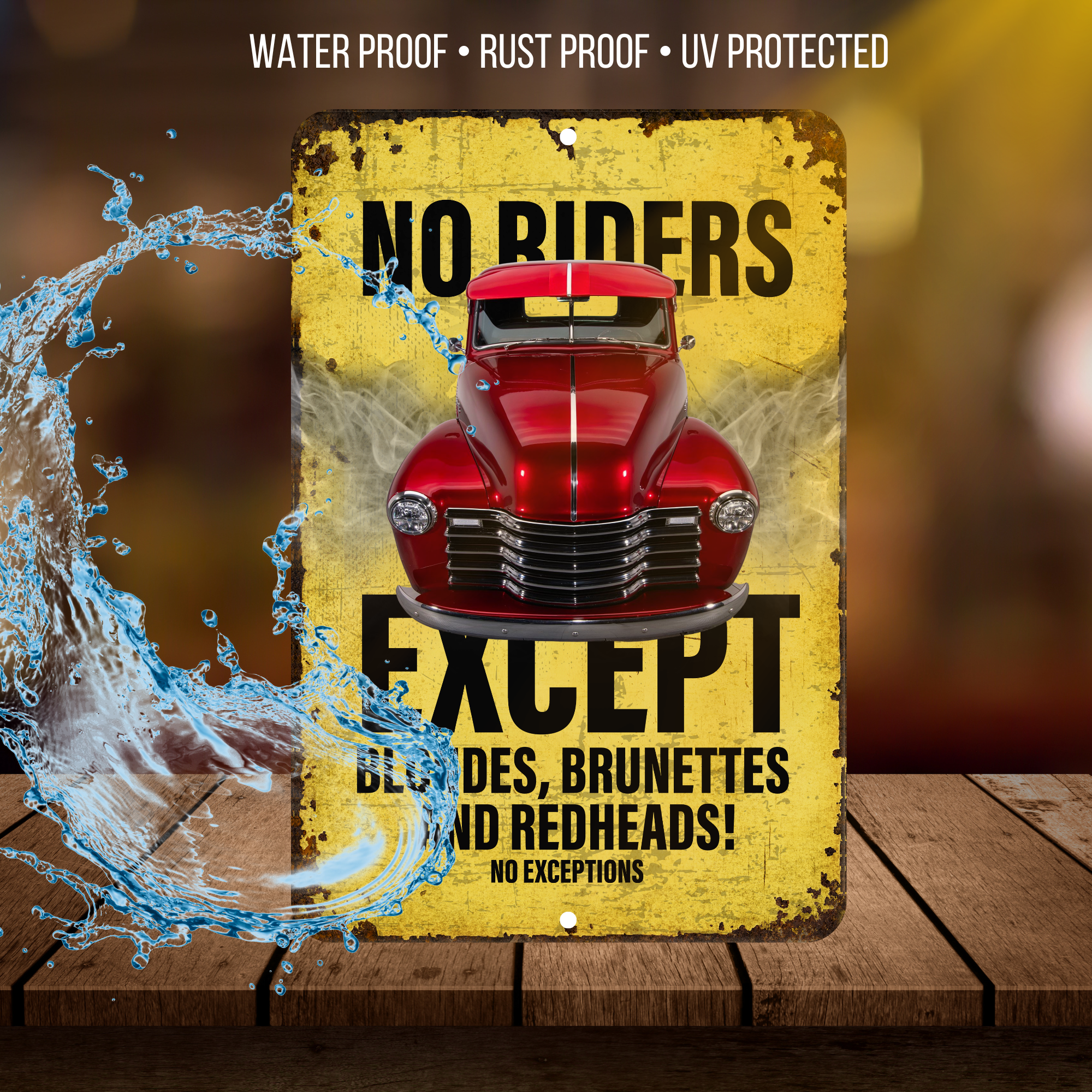 No Riders Except Blondes Brunettes Redheads Car Sign