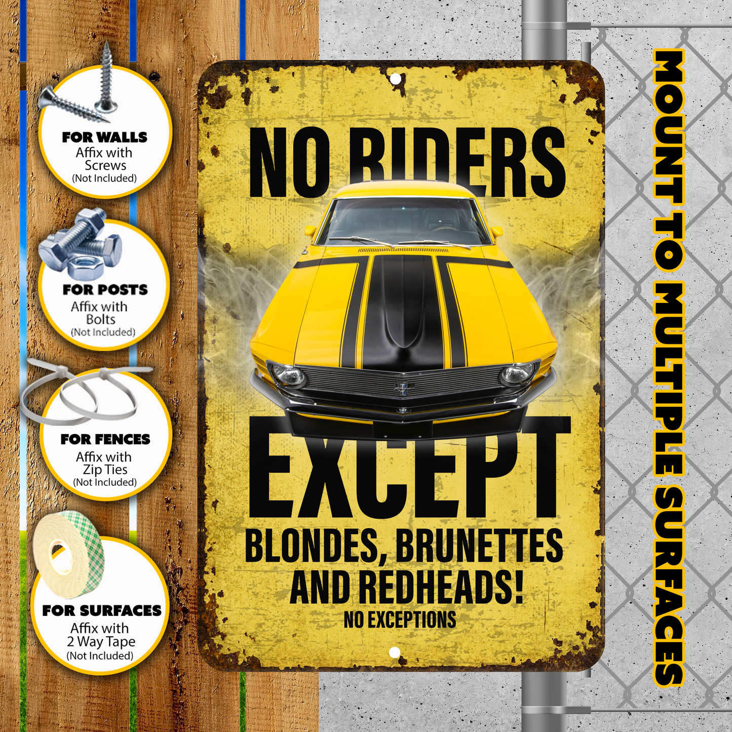 No Riders Except Blondes Brunettes Redheads Car Sign