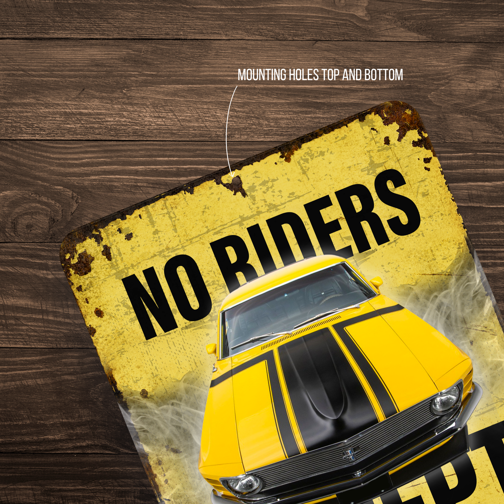 No Riders Except Blondes Brunettes Redheads Car Sign