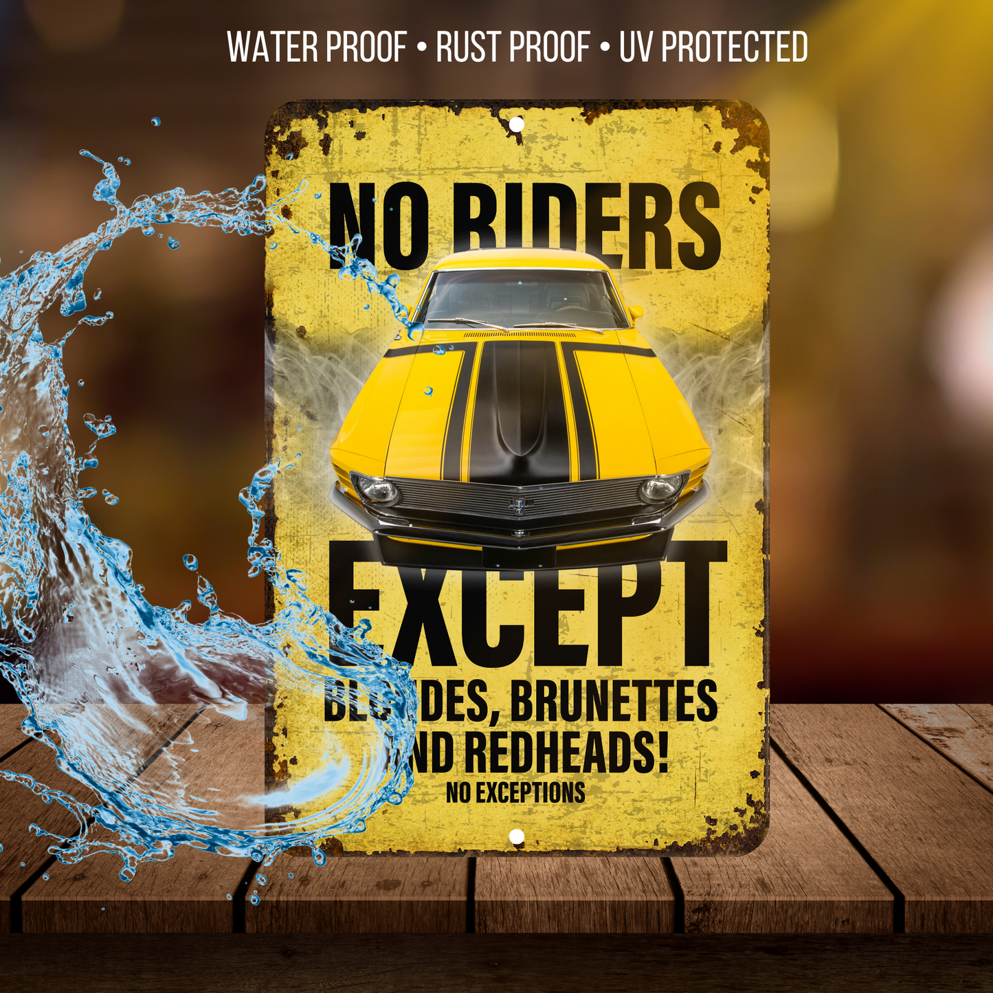 No Riders Except Blondes Brunettes Redheads Car Sign