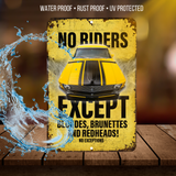 No Riders Except Blondes Brunettes Redheads Car Sign