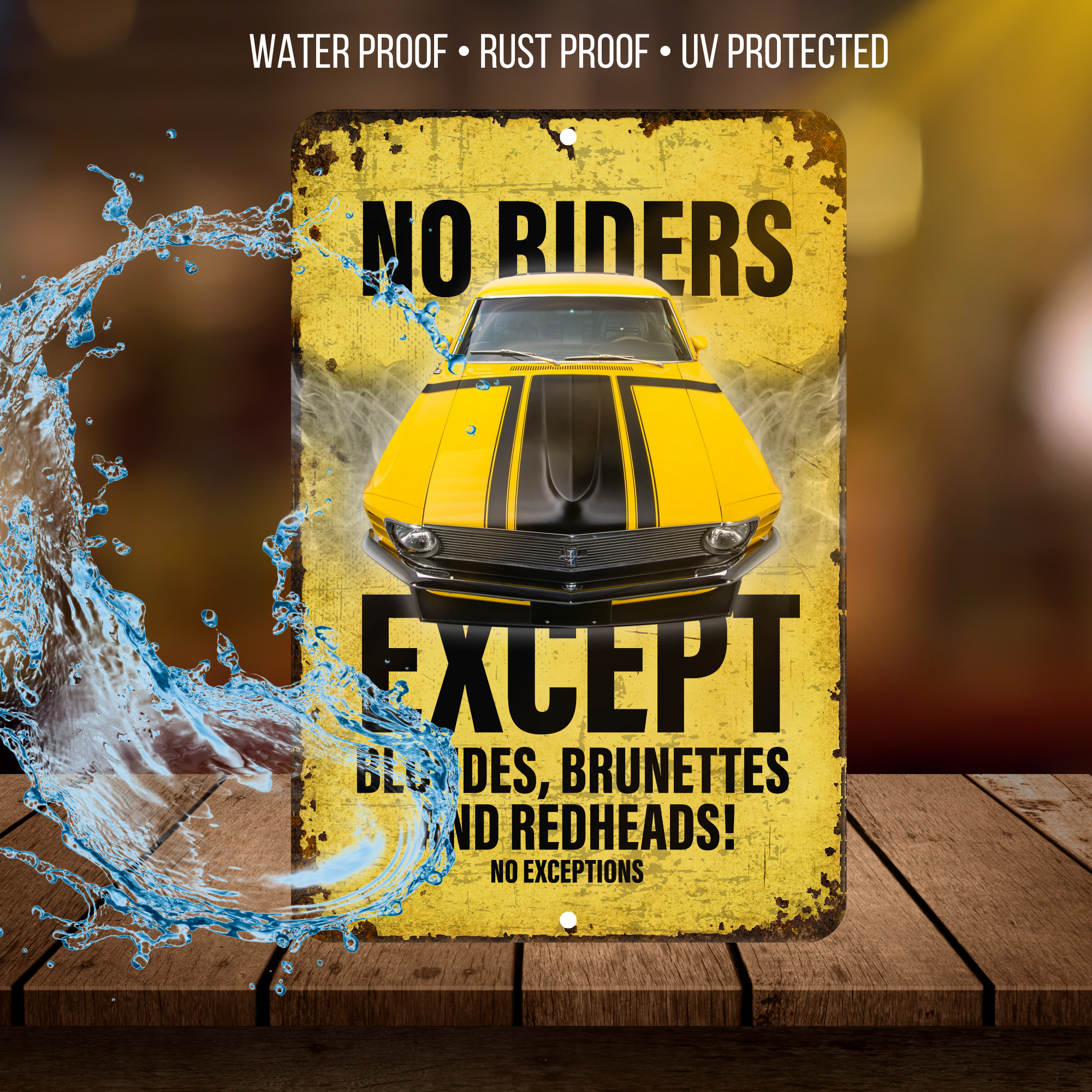 No Riders Except Blondes Brunettes Redheads Car Sign