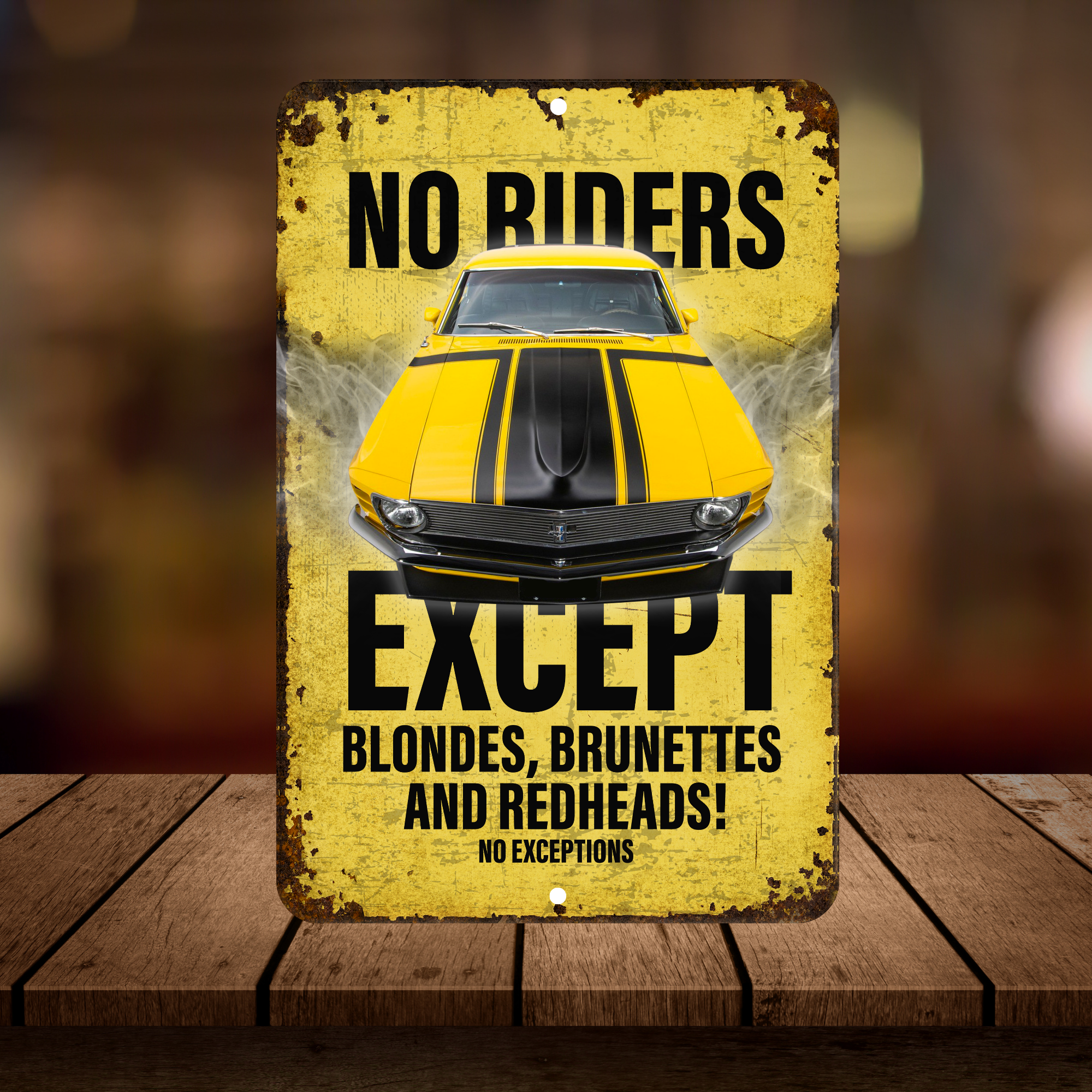 No Riders Except Blondes Brunettes Redheads Car Sign
