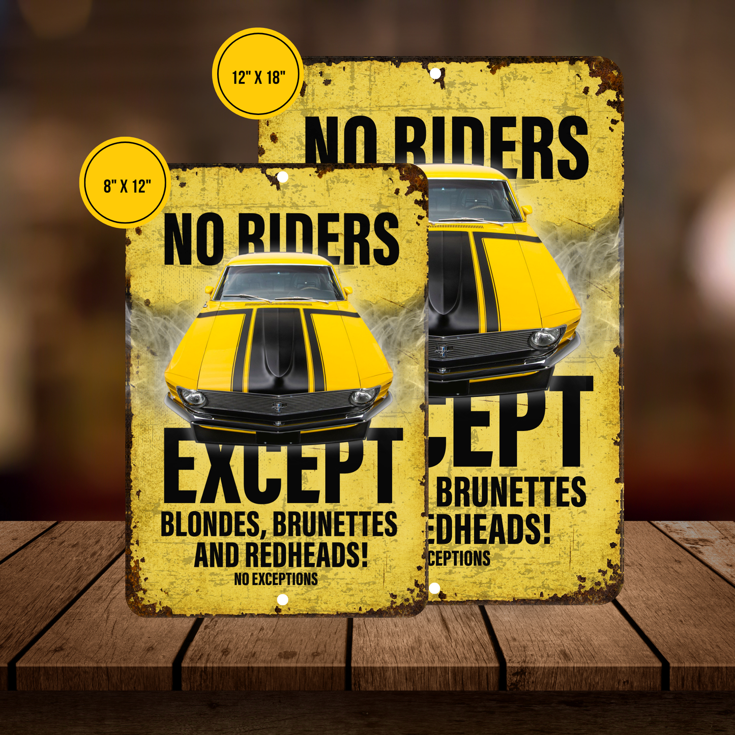 No Riders Except Blondes Brunettes Redheads Car Sign