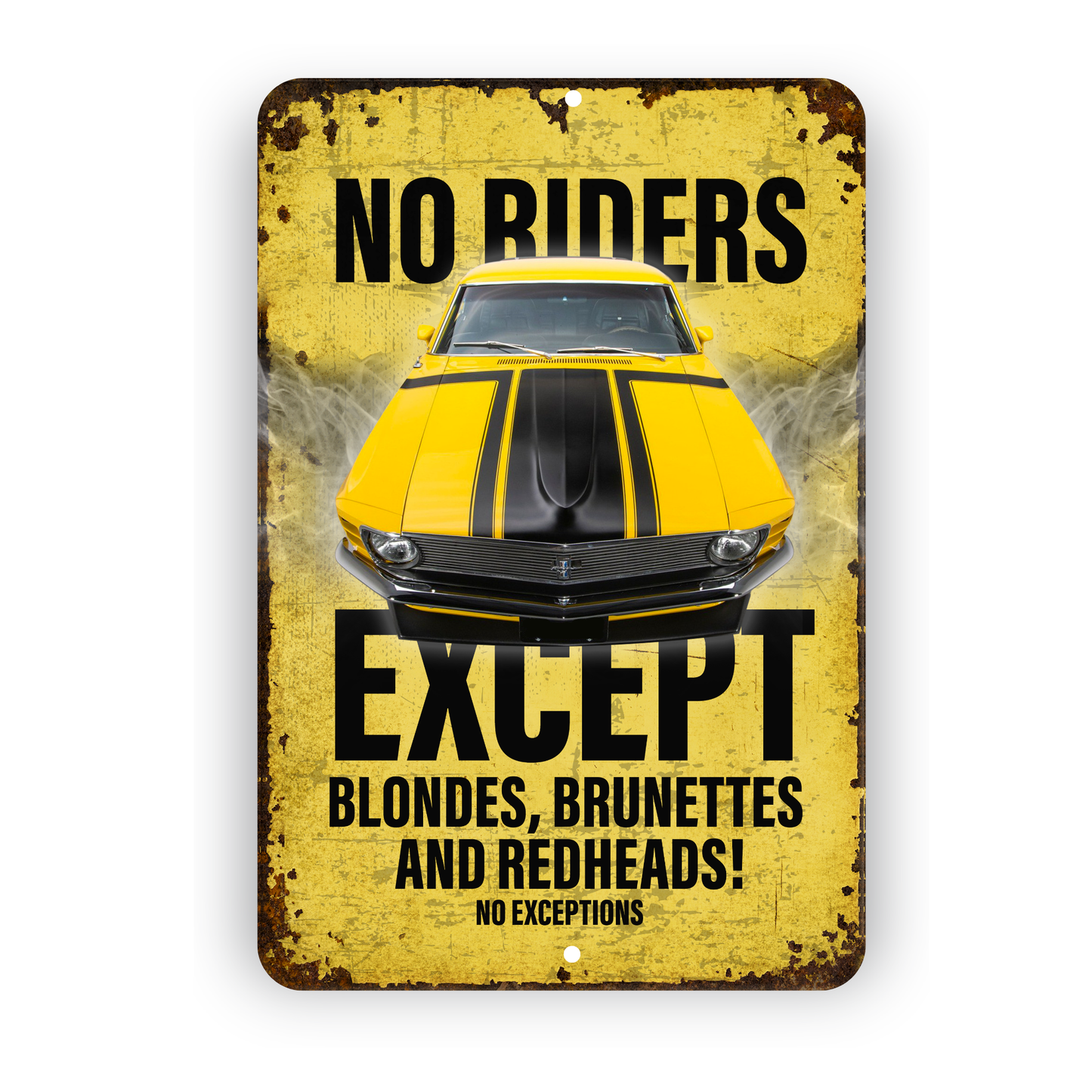 No Riders Except Blondes Brunettes Redheads Car Sign