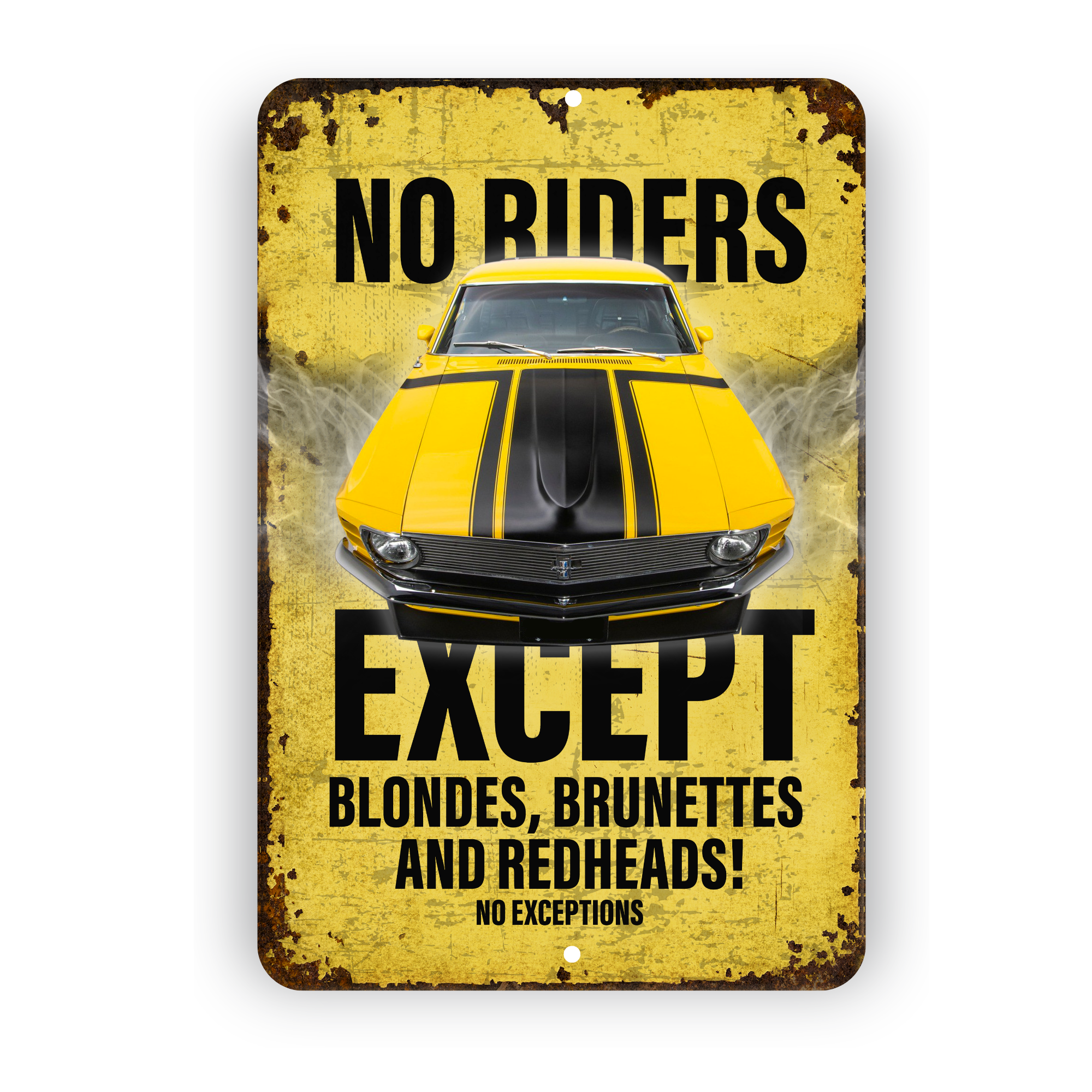 No Riders Except Blondes Brunettes Redheads Car Sign