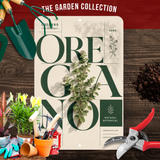 Oregano Botanical Aluminum Sign – Herb Kitchen & Garden Décor