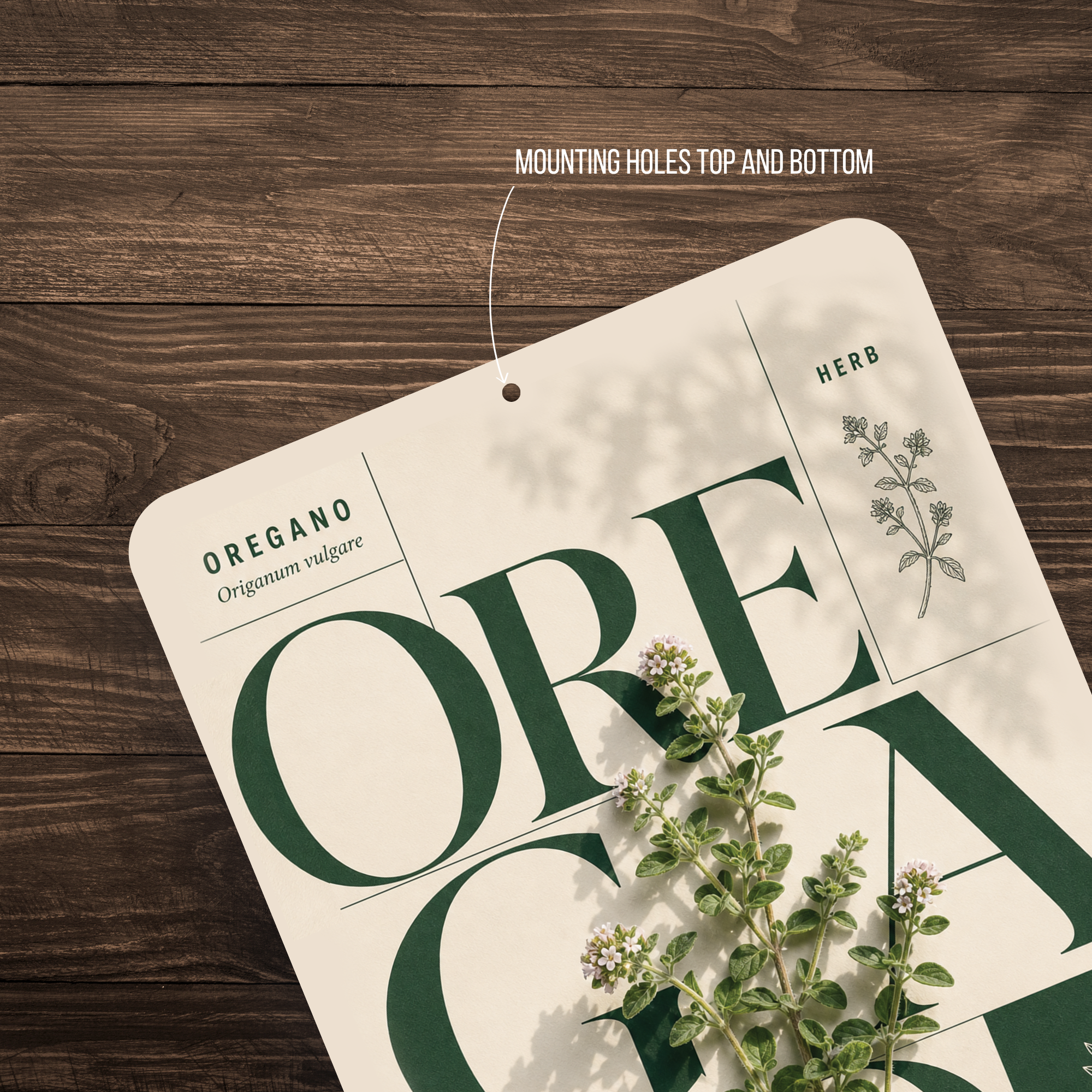 Oregano Botanical Aluminum Sign – Herb Kitchen & Garden Décor