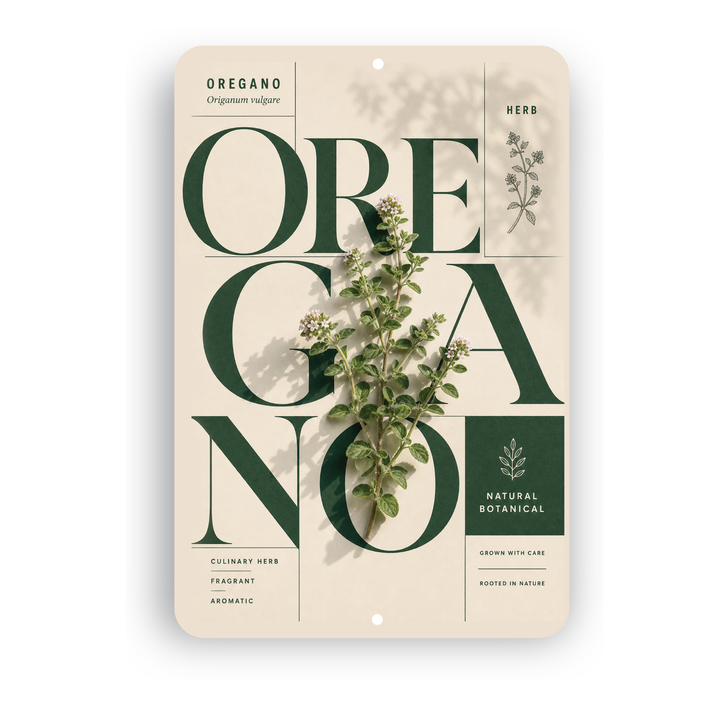 Oregano Botanical Aluminum Sign – Herb Kitchen & Garden Décor