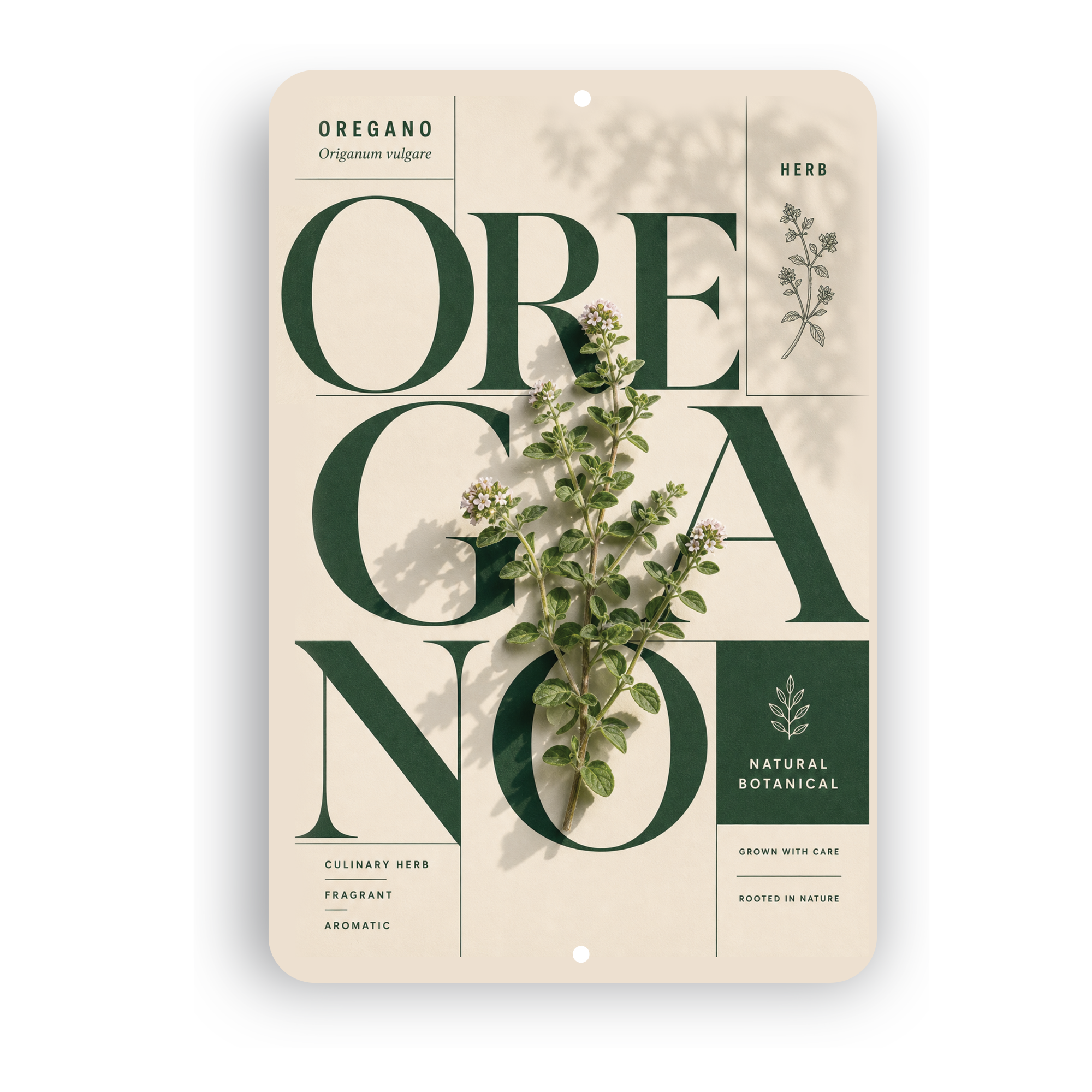 Oregano Botanical Aluminum Sign – Herb Kitchen & Garden Décor