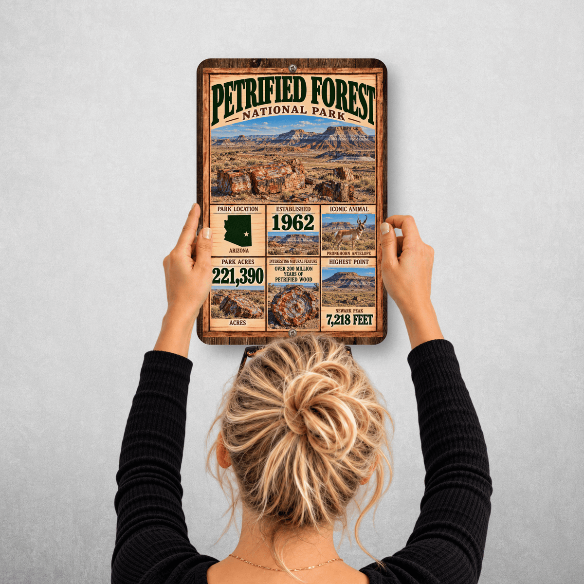 Petrified Forest National Park facts sign hanging on a wall with vintage desert artwork