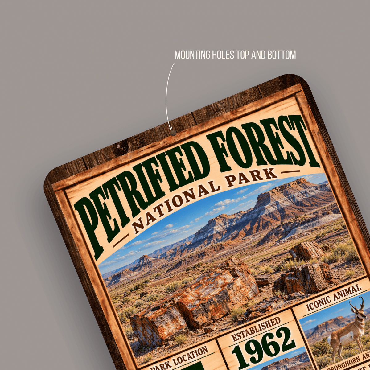 Close-up of rounded corners and predrilled mounting holes on the Petrified Forest aluminum sign
