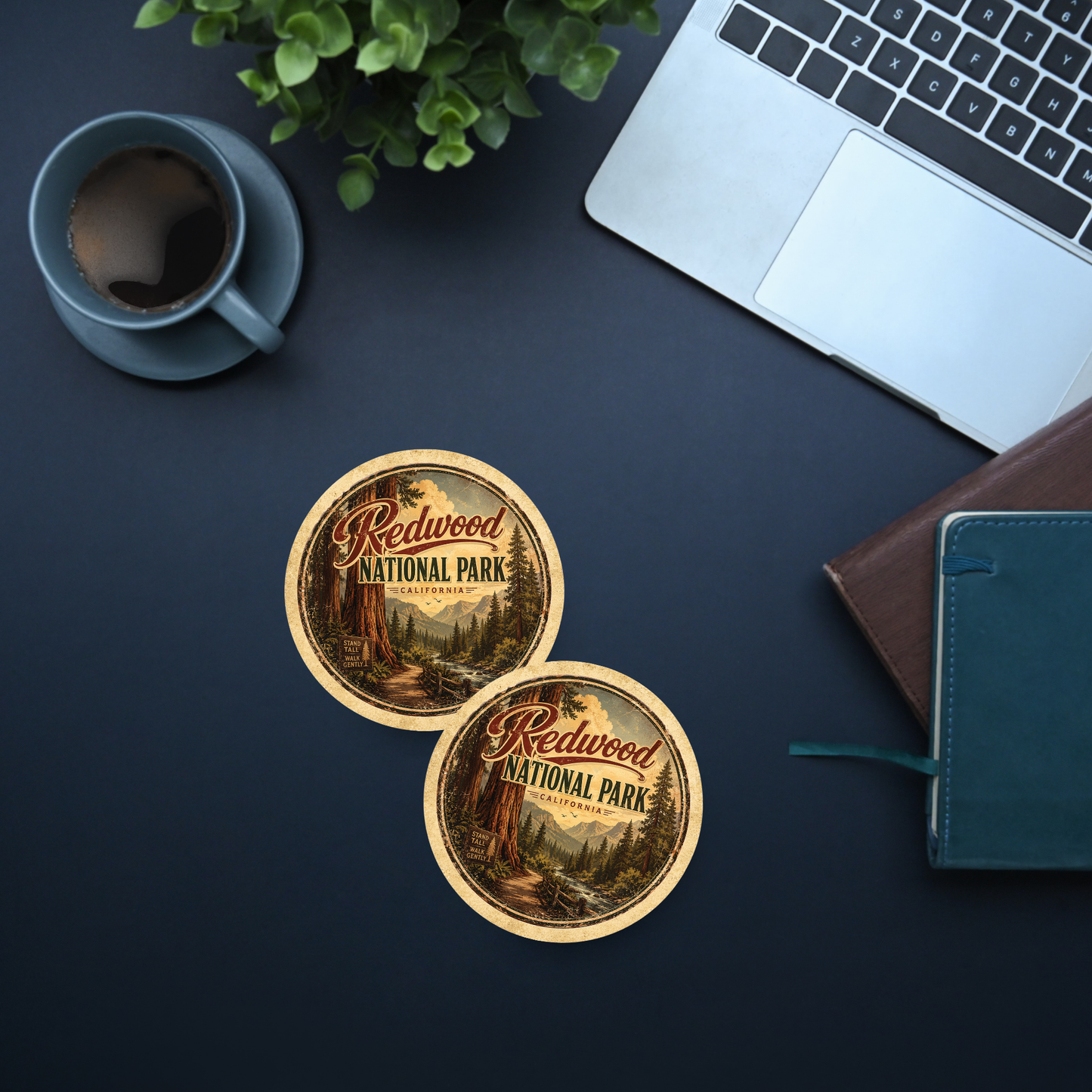 Redwood National Park Ceramic Coaster – 4" Round