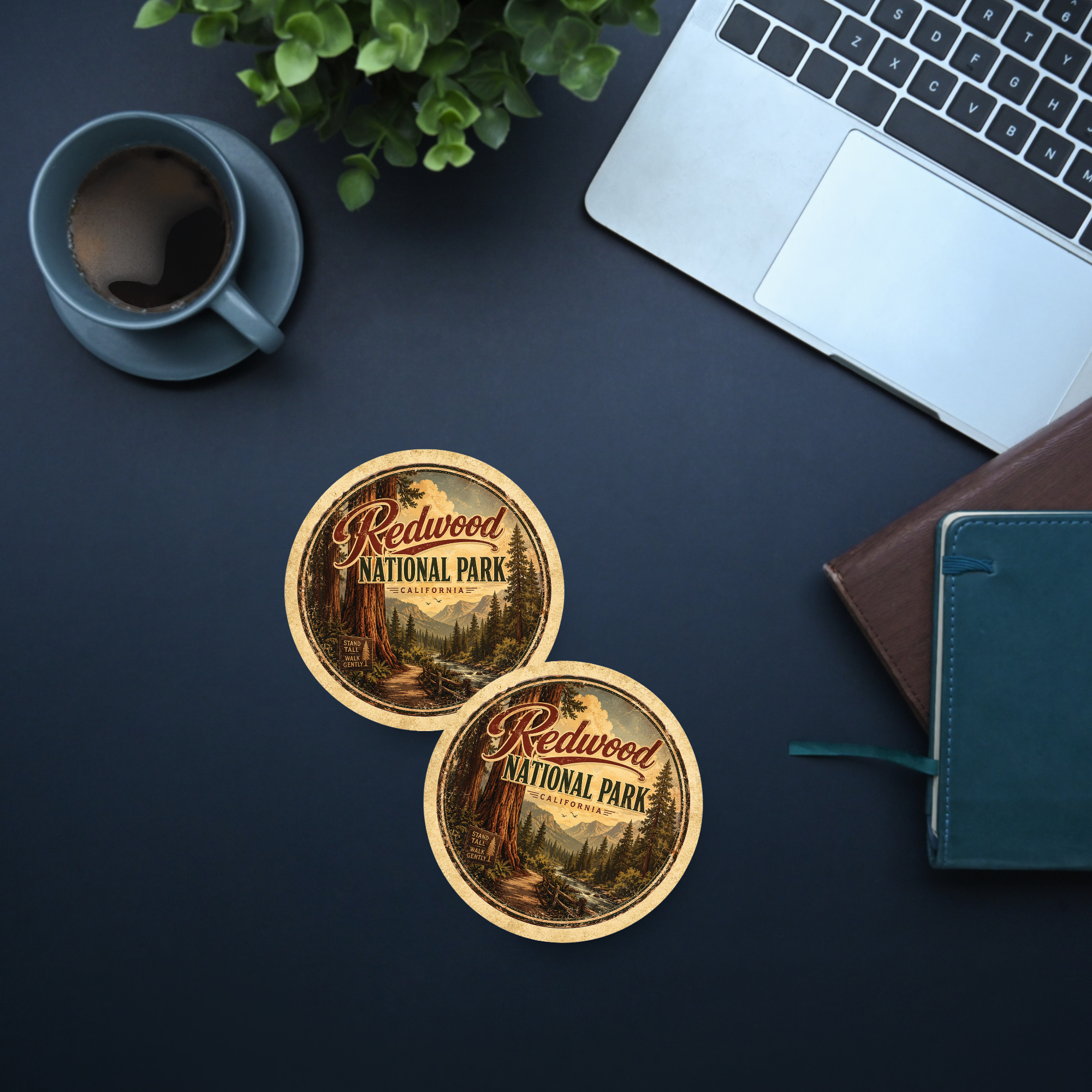 Redwood National Park Ceramic Coaster – 4" Round