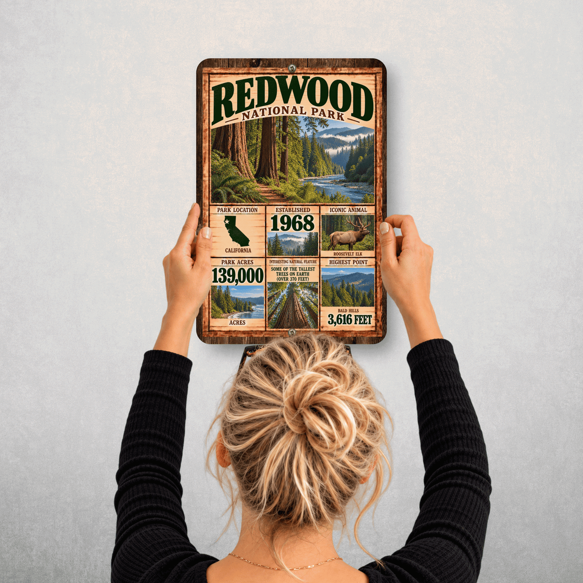 Redwood National Park facts sign hanging on a wall with vintage forest and river artwork